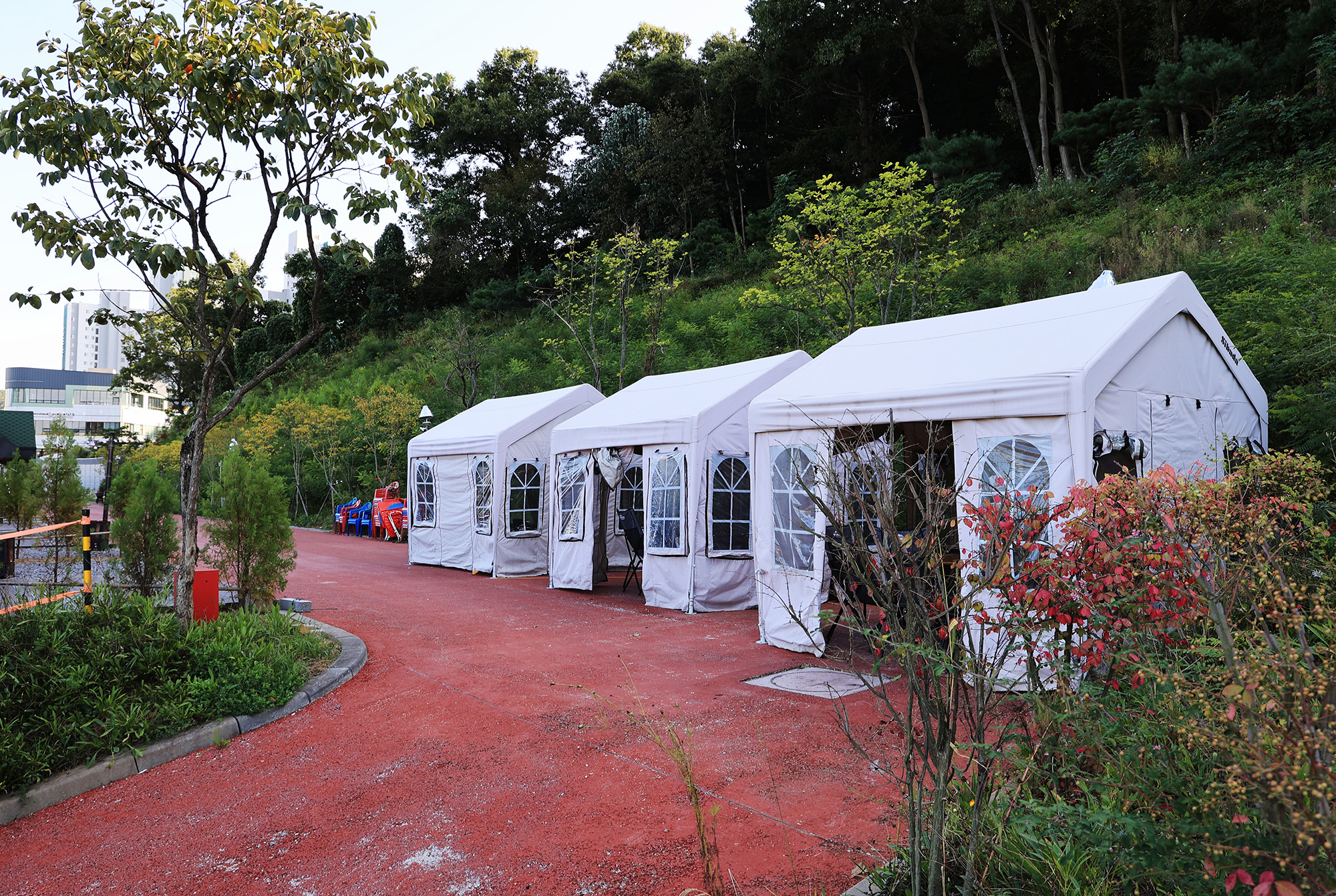 물왕호수캠핑 이미지