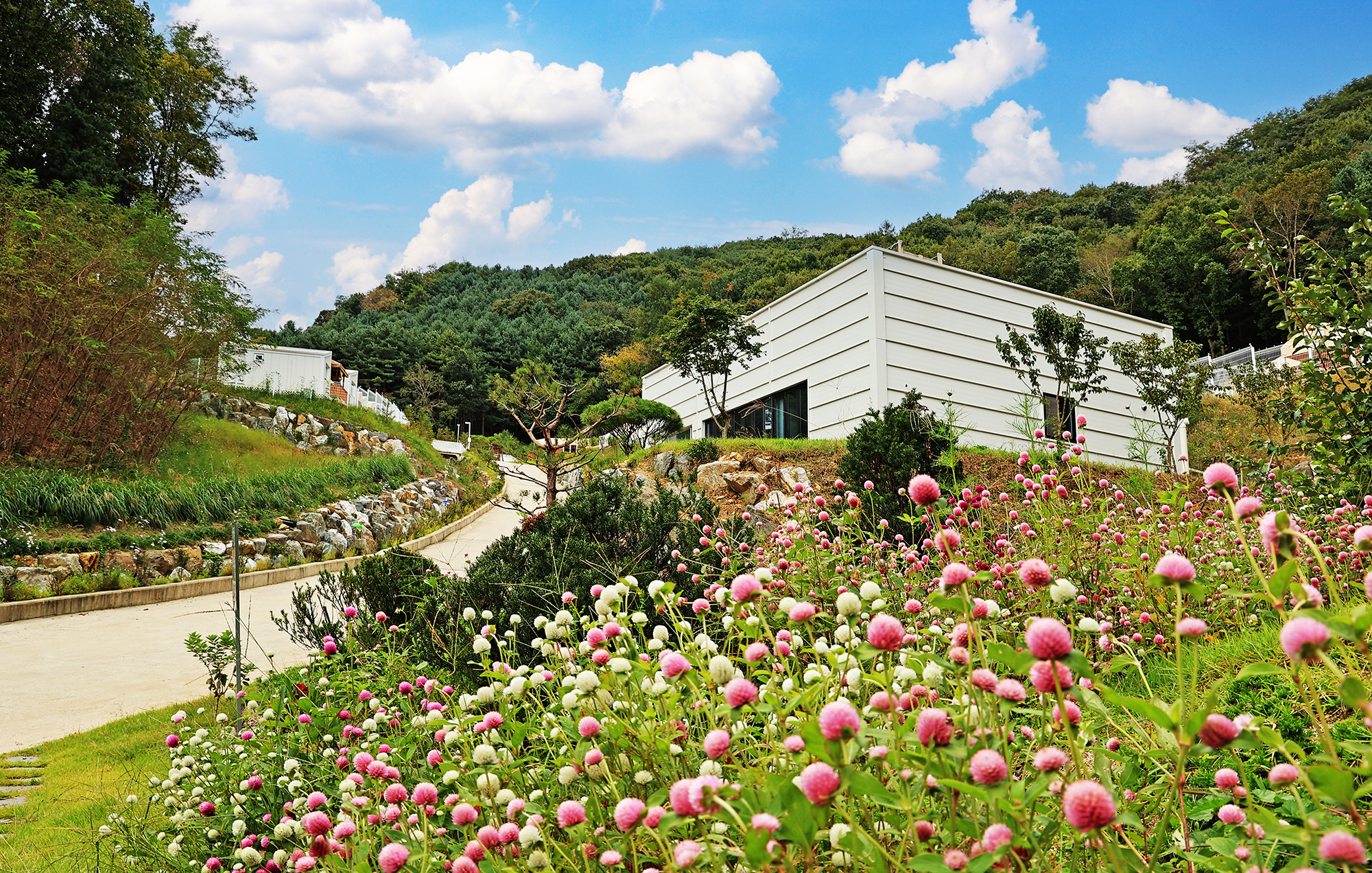 월송리캠프 이미지