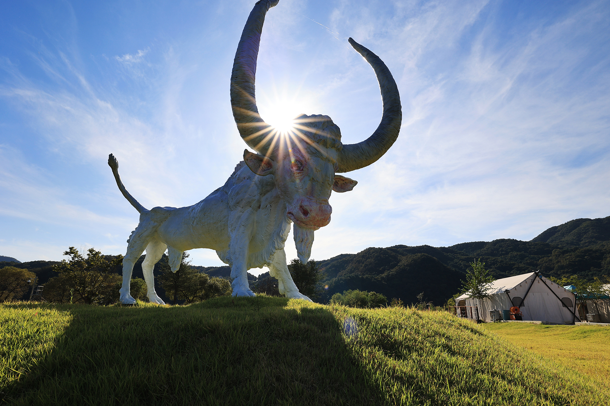 리버위드 글램핑 이미지