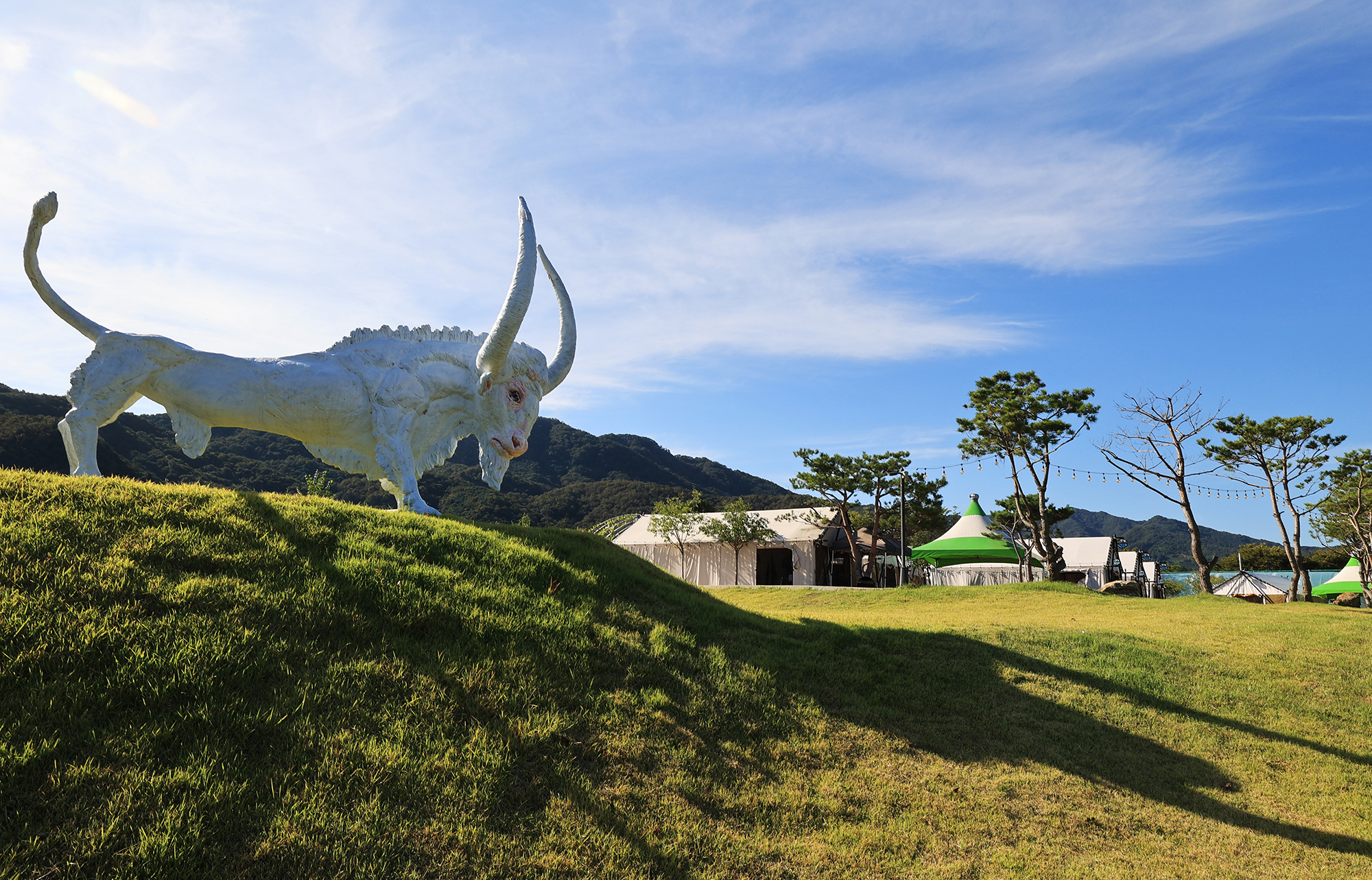 리버위드 글램핑 이미지