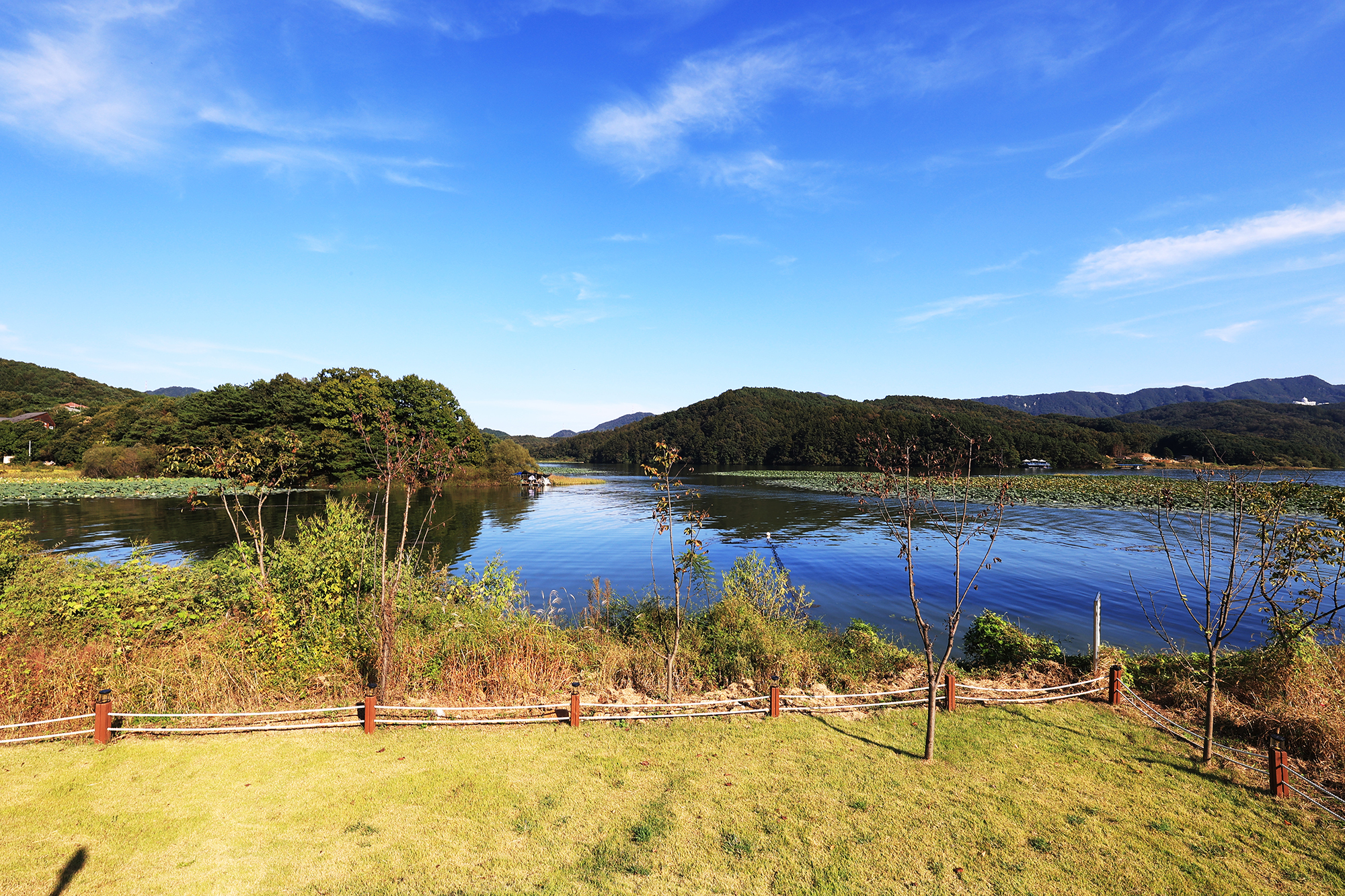 리버위드 글램핑 이미지