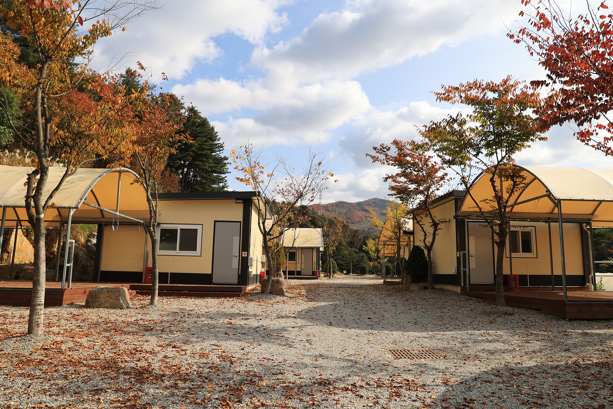 금동휴양림캠프2 이미지