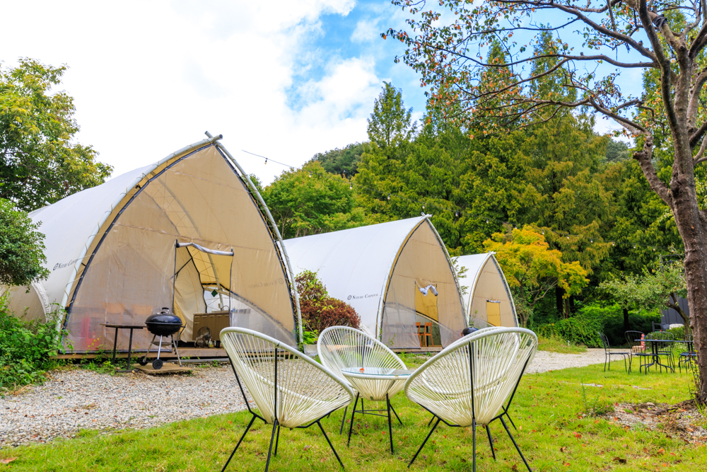 포레스트 캠핑장 이미지