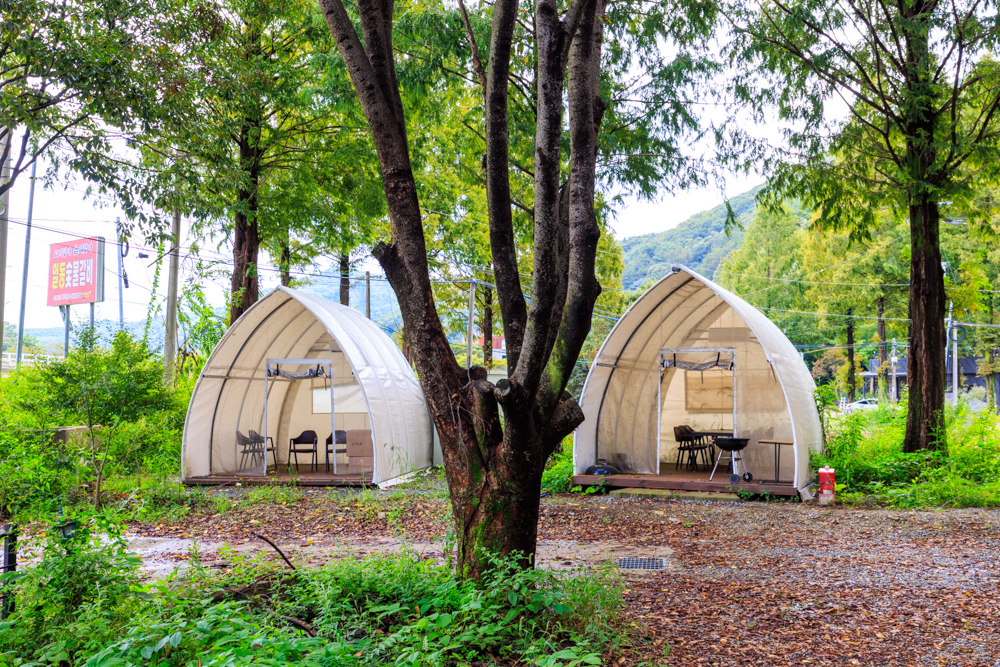 포레스트 캠핑장 이미지