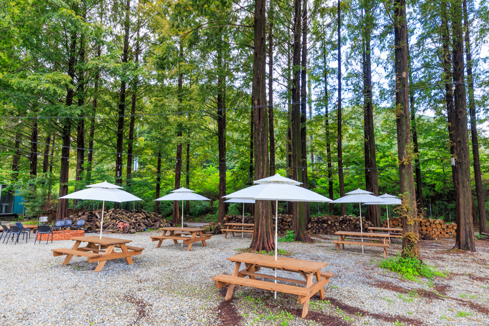 포레스트 캠핑장 이미지