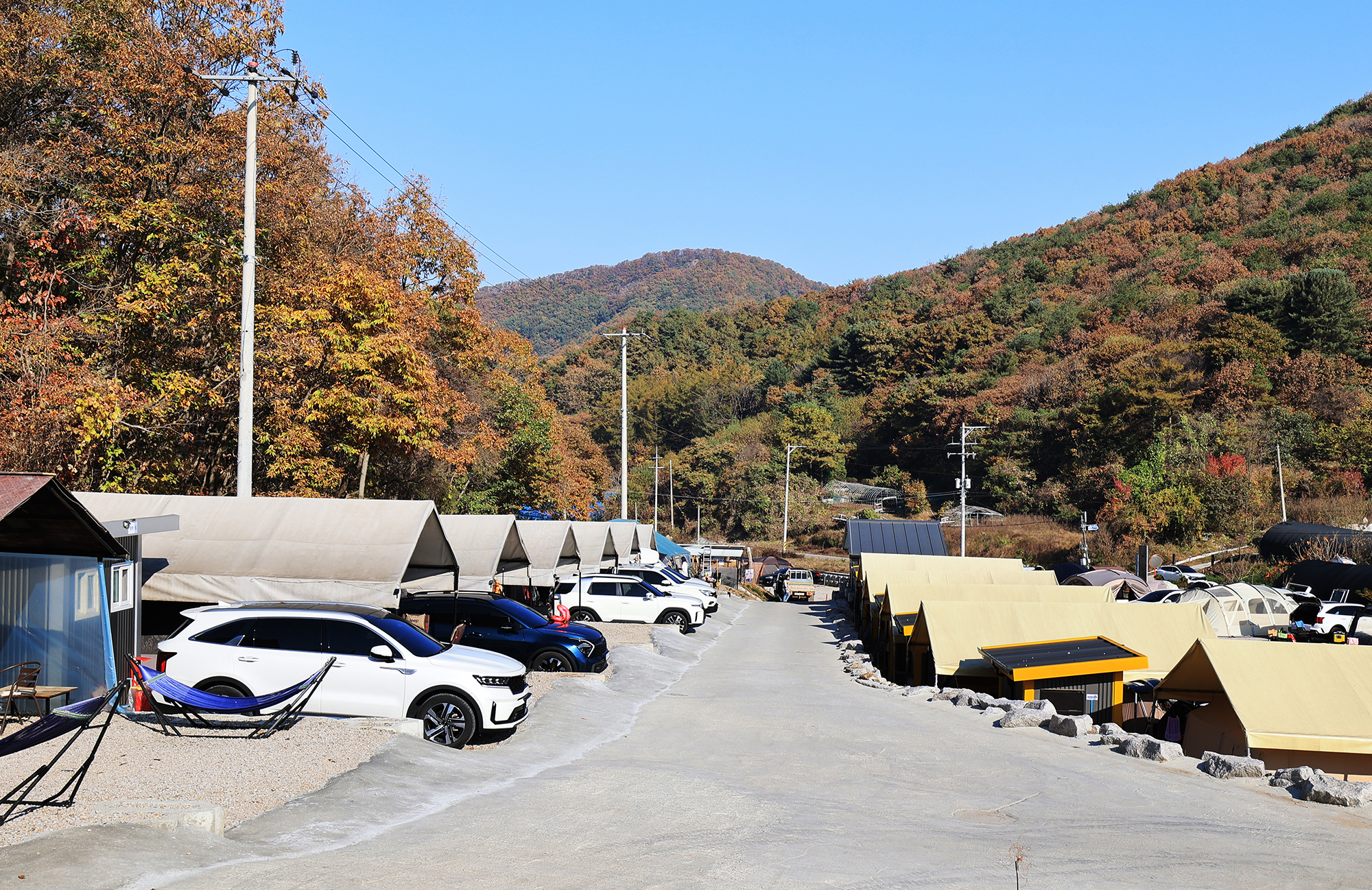 숲속의쉼터 키즈 이미지