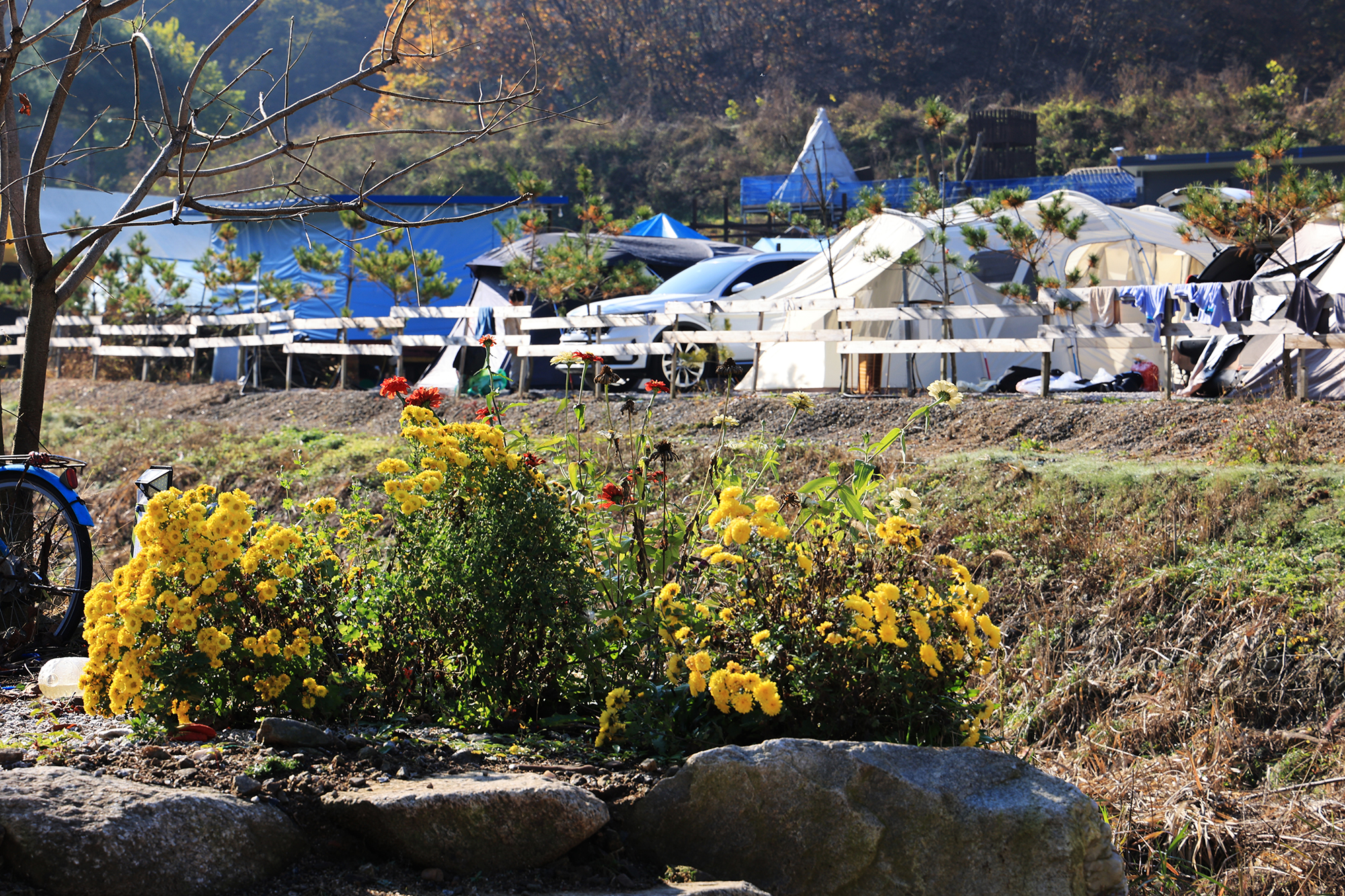 숲속의쉼터 키즈 이미지