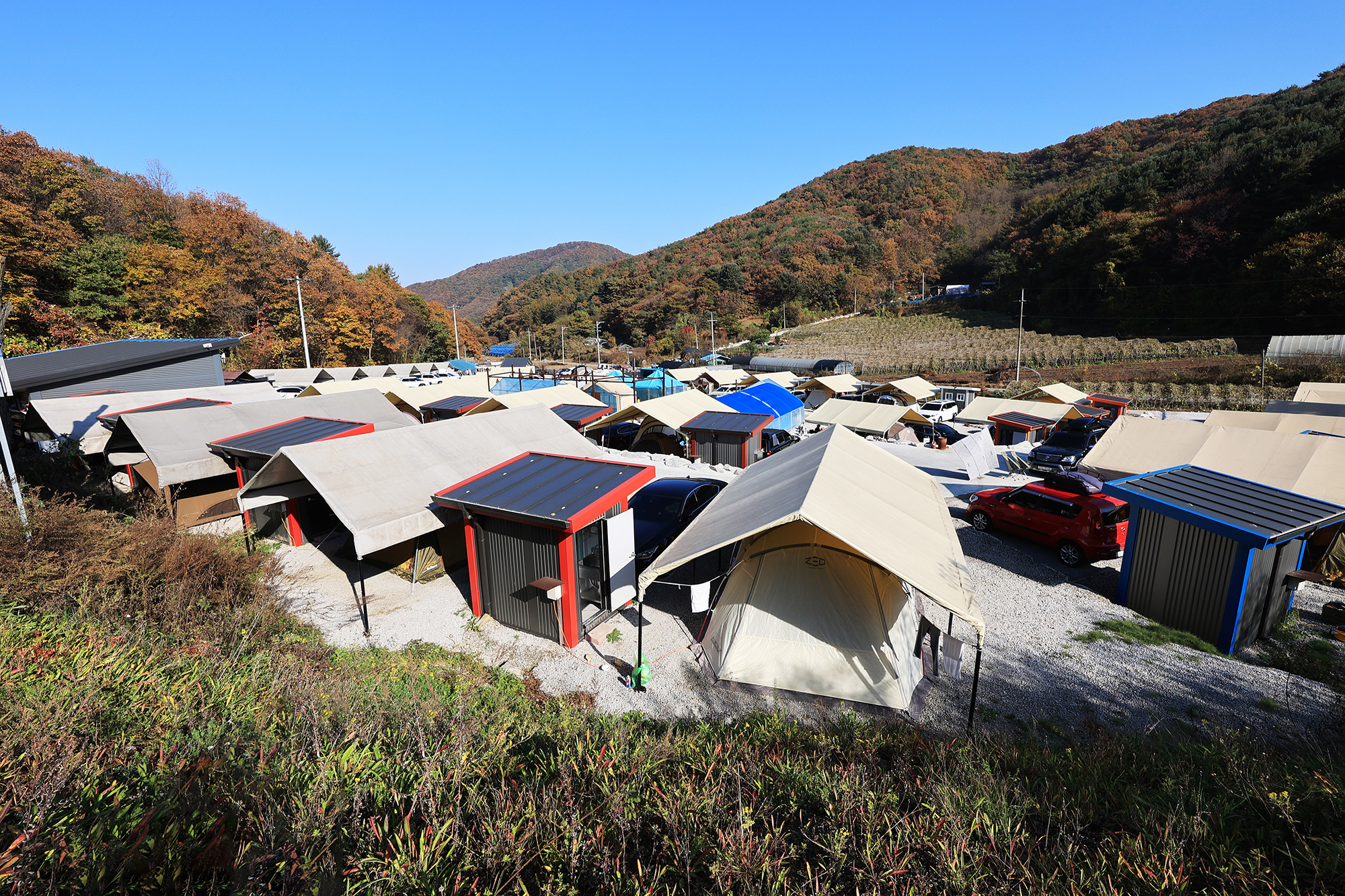 숲속의쉼터 키즈 이미지