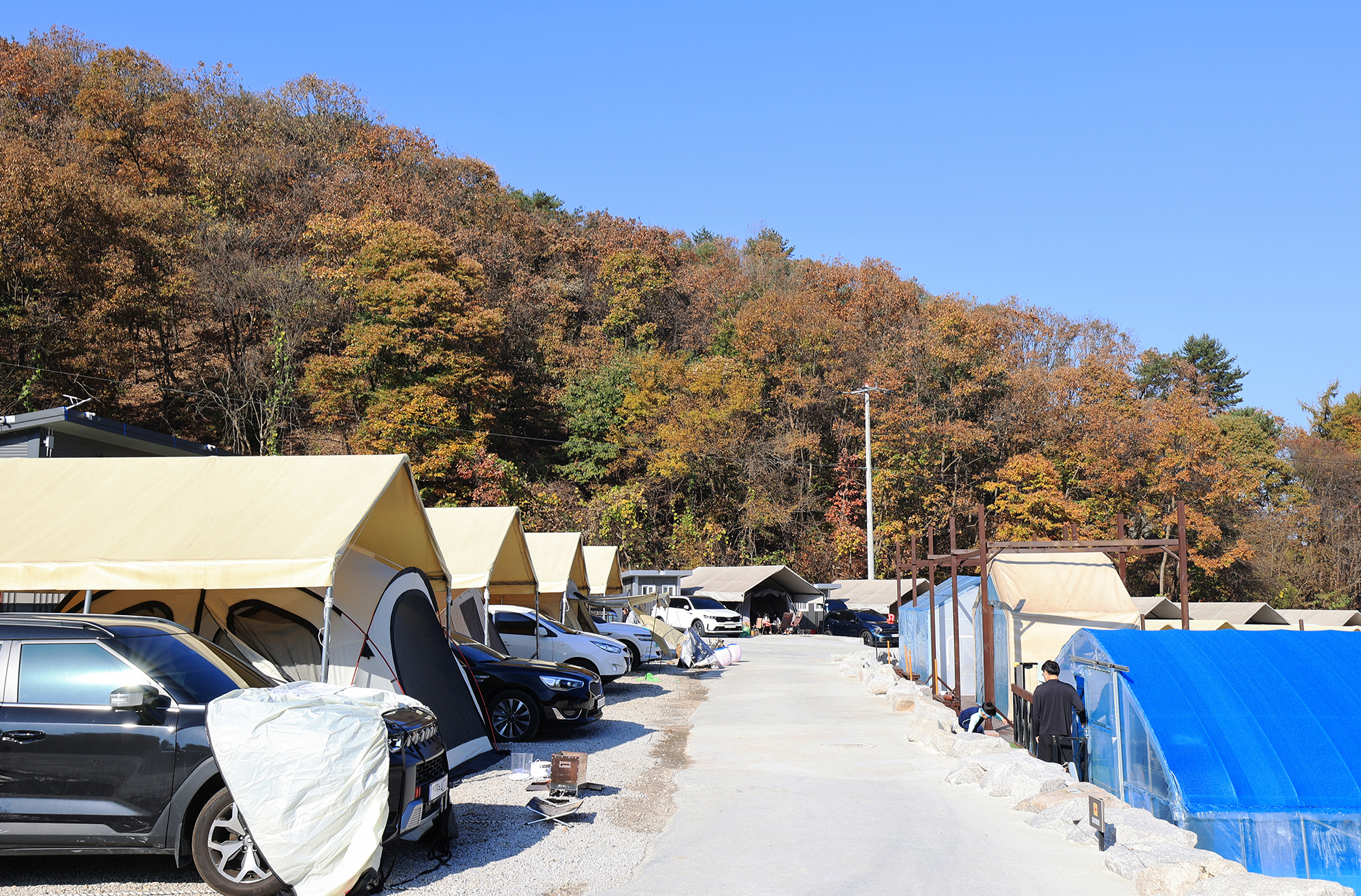 숲속의쉼터 키즈 이미지