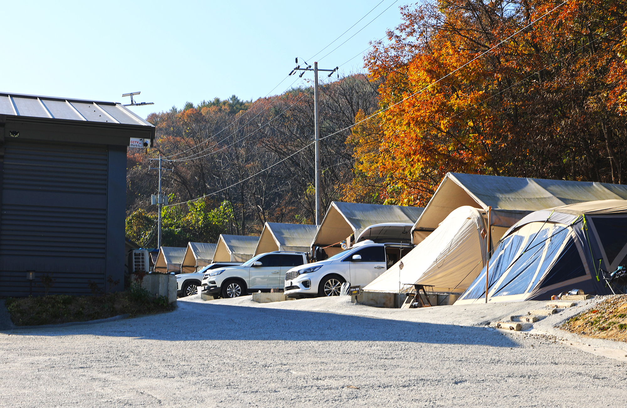 숲속의쉼터 키즈 이미지