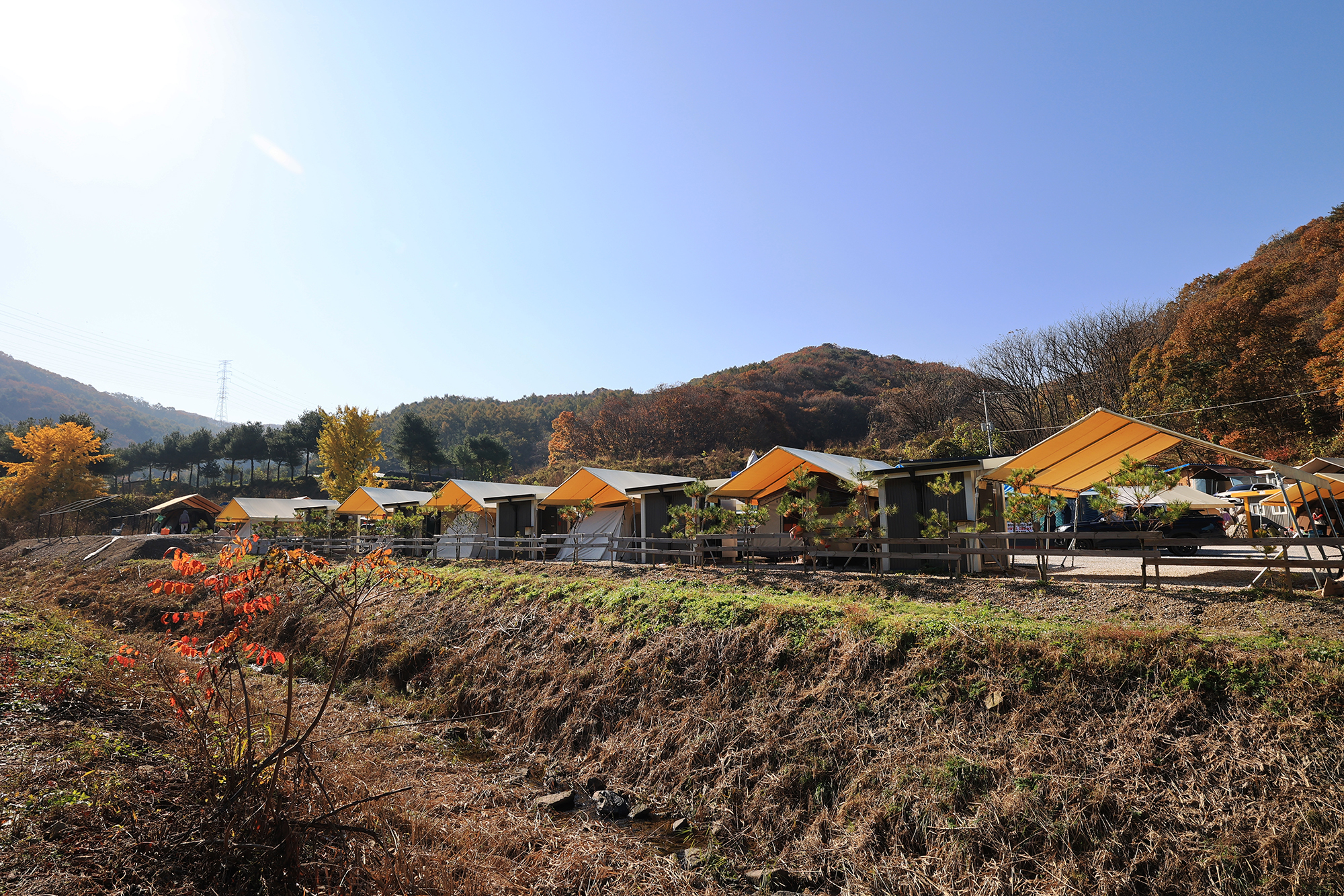 숲속의쉼터 키즈 이미지