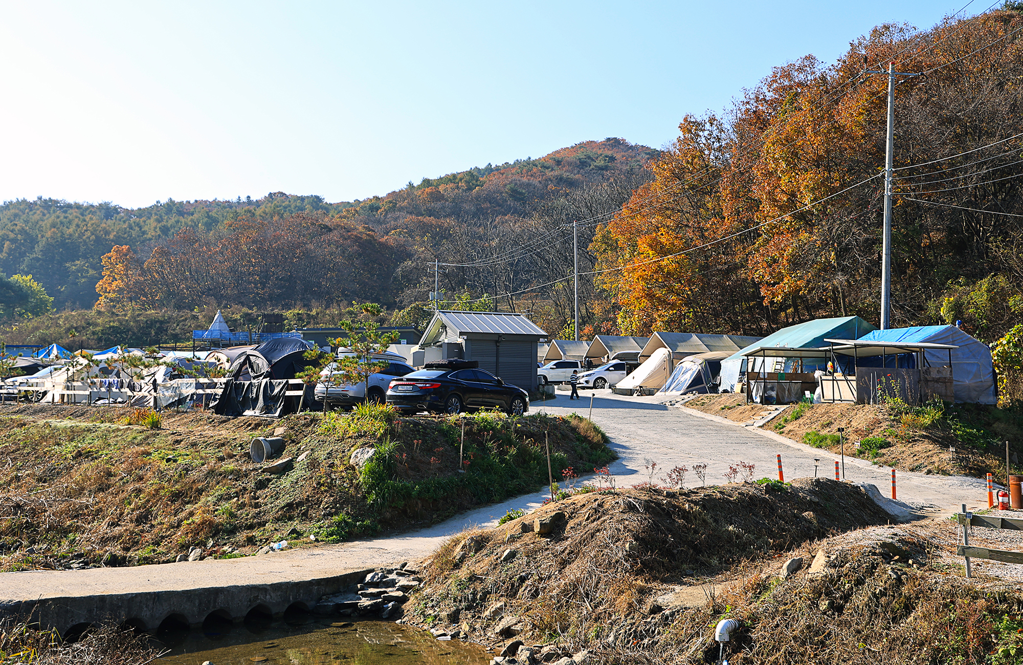 숲속의쉼터 키즈 이미지