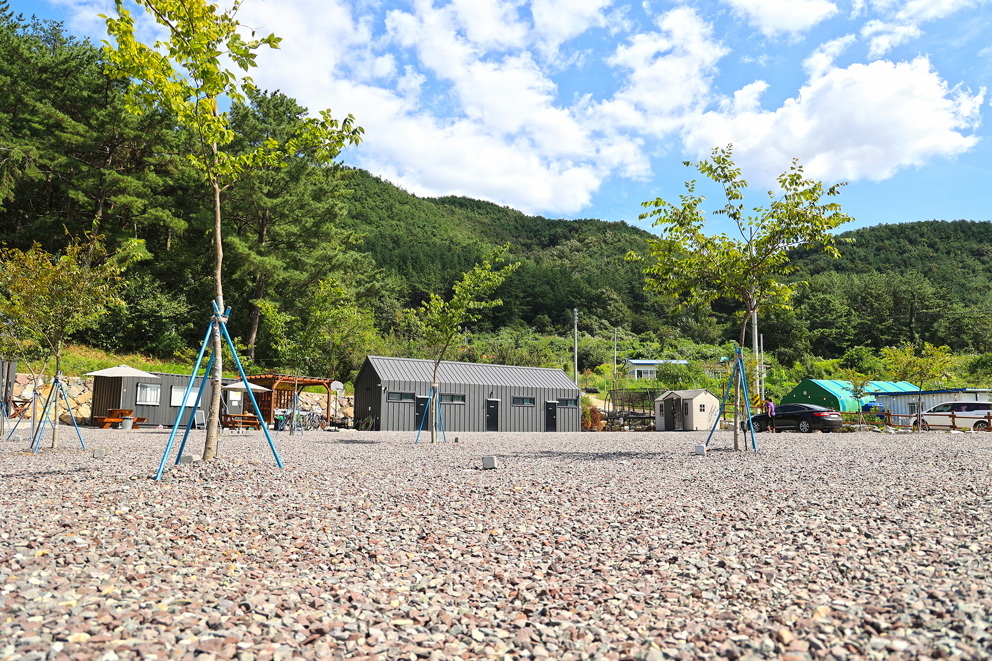 플로라 캠프 이미지