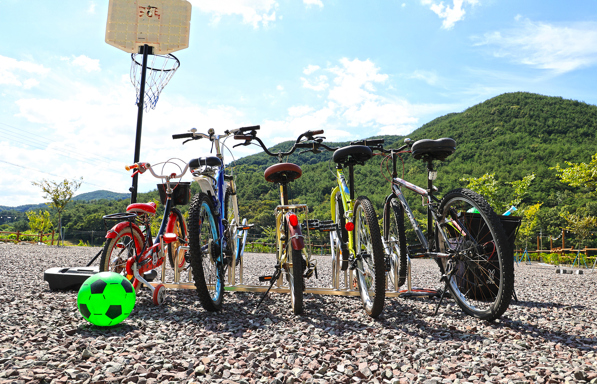 플로라 캠프 이미지