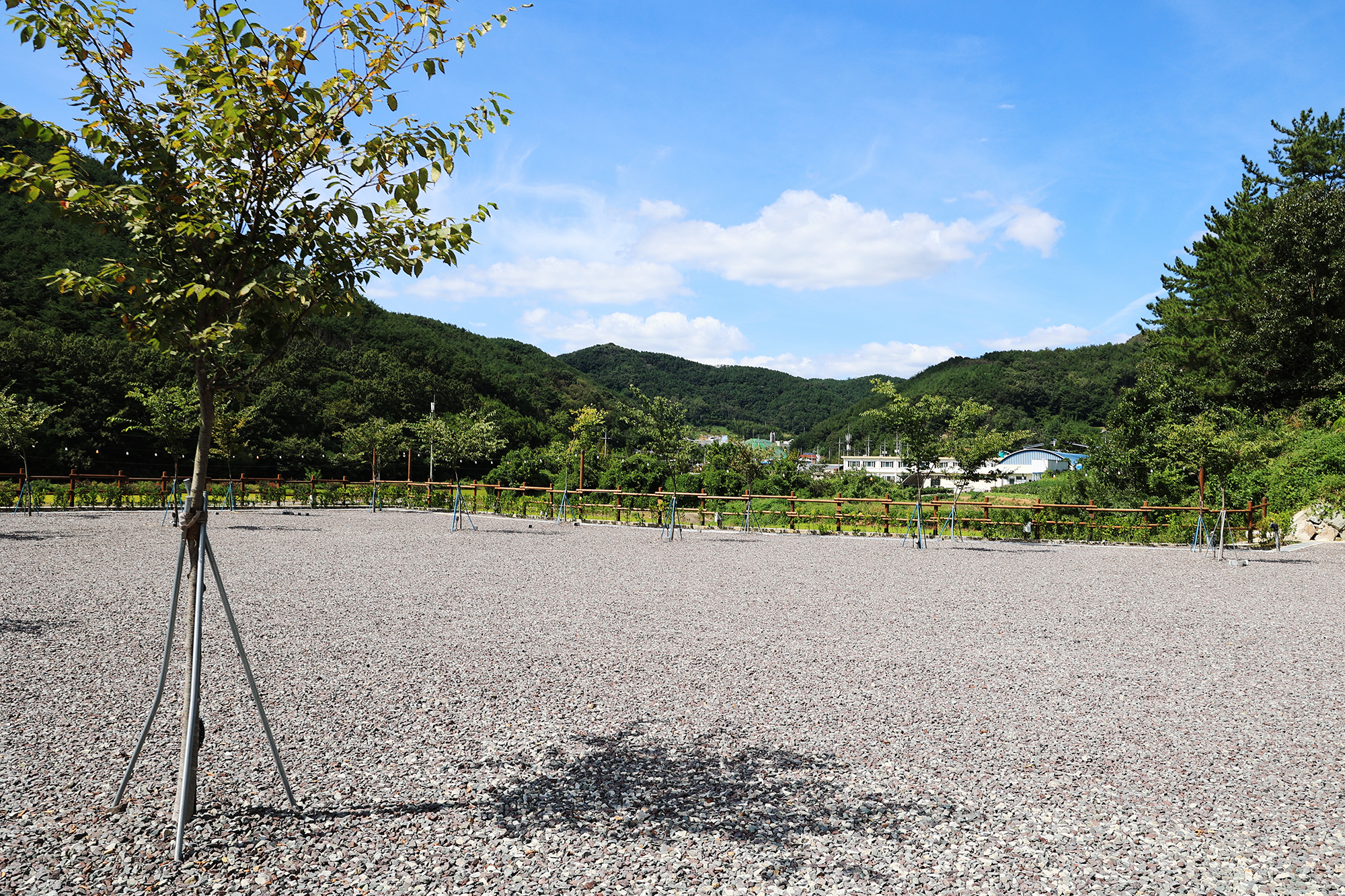 플로라 캠프 이미지