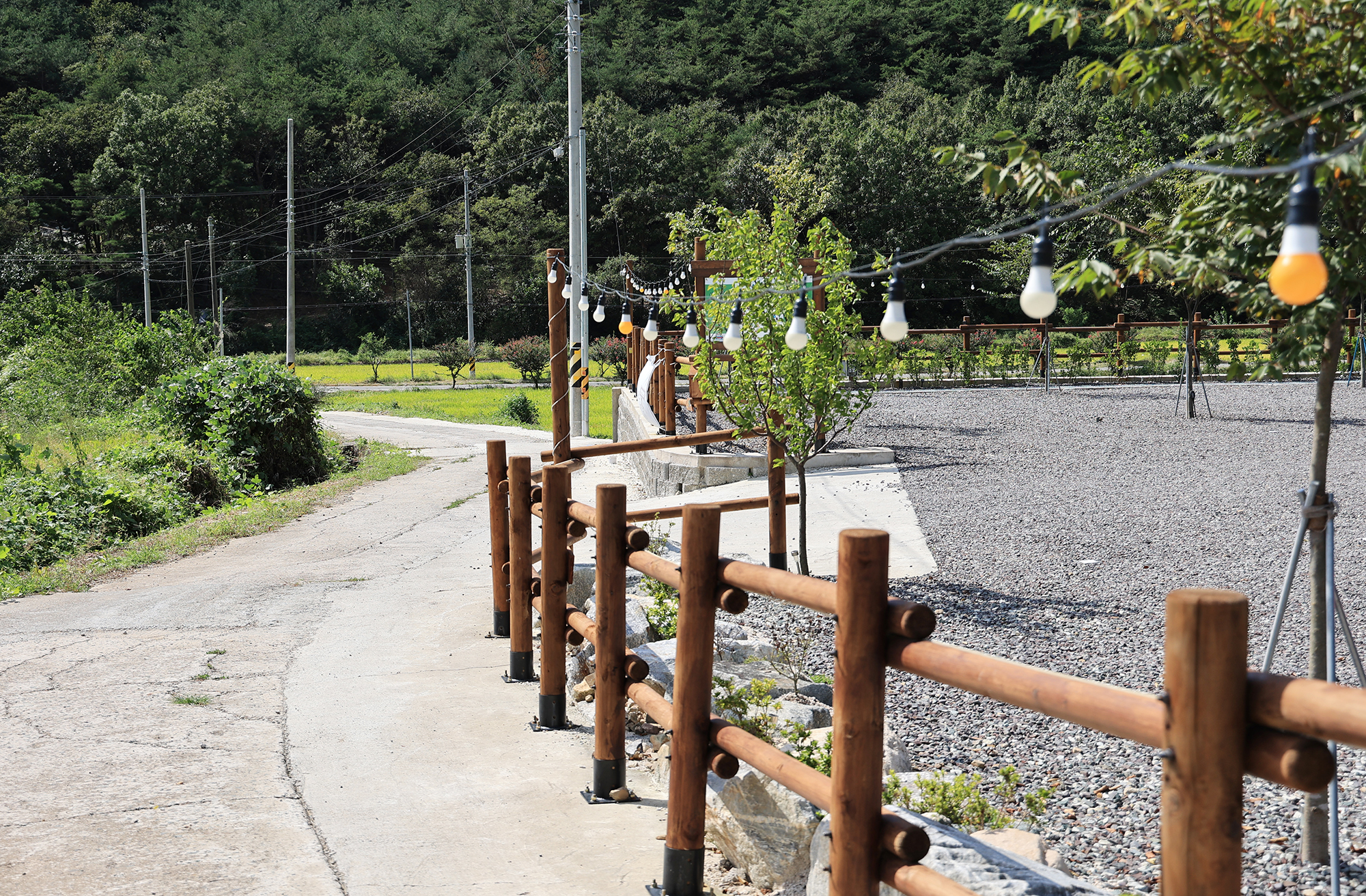 플로라 캠프 이미지