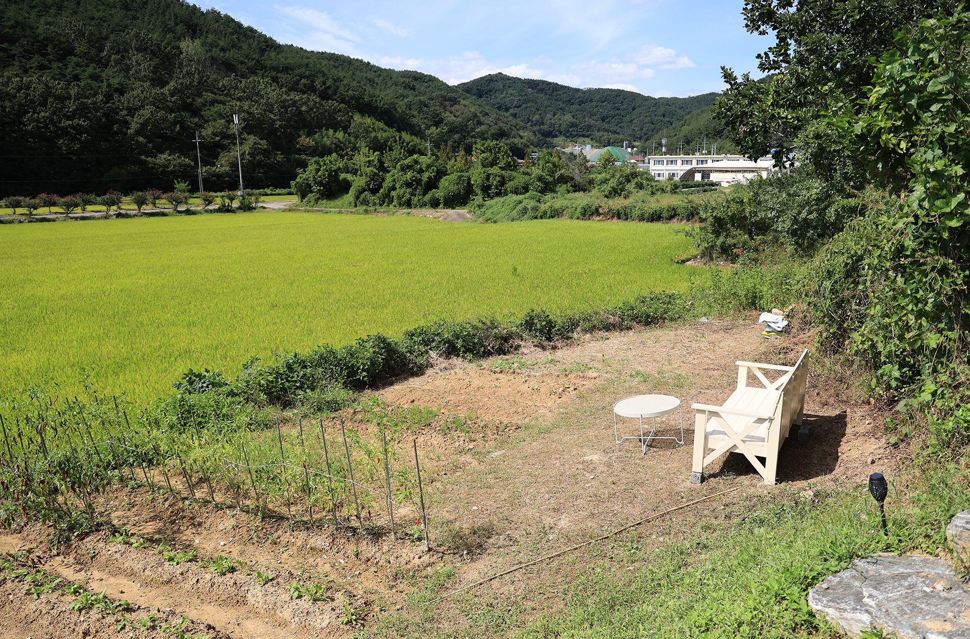 플로라 캠프 이미지