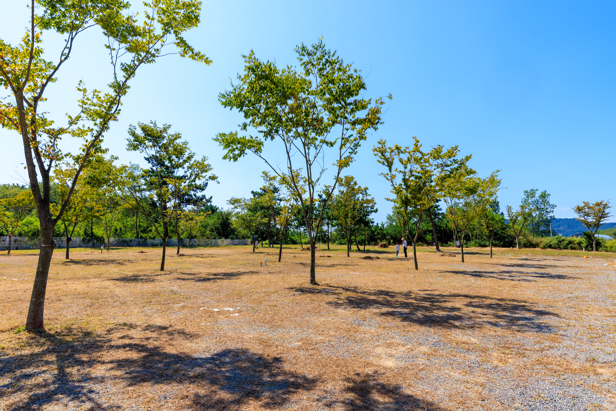 태안노을과바다캠핑앤글램핑 이미지