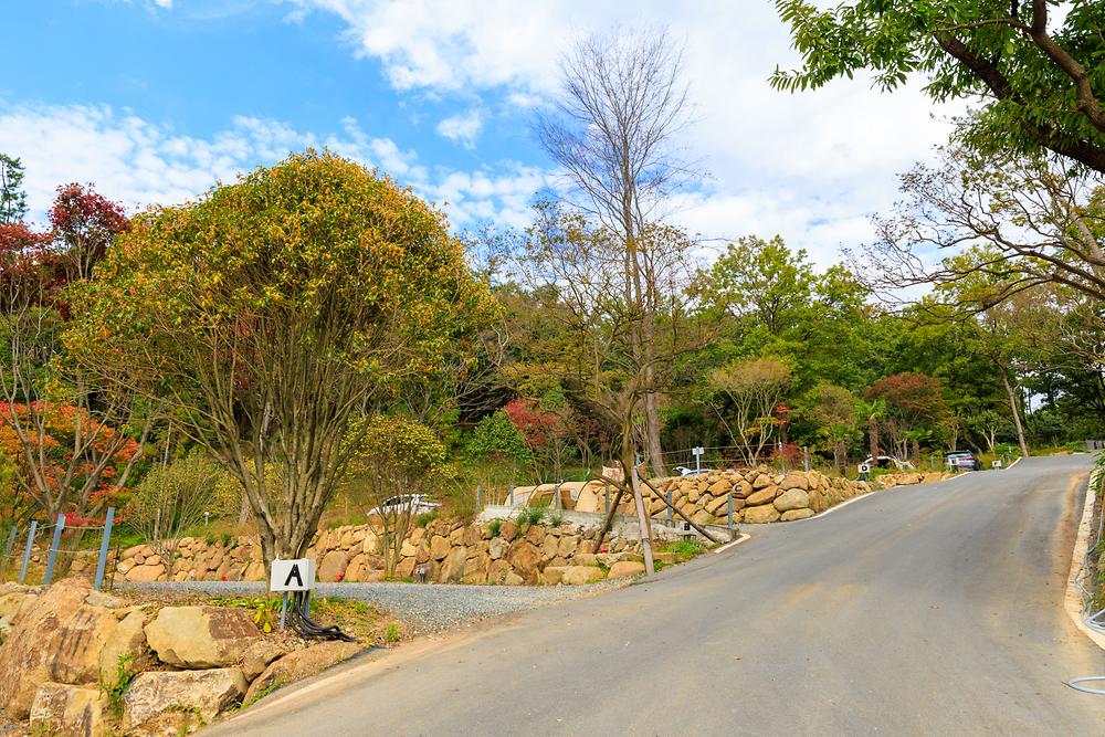 상사호 오토 캠핑장