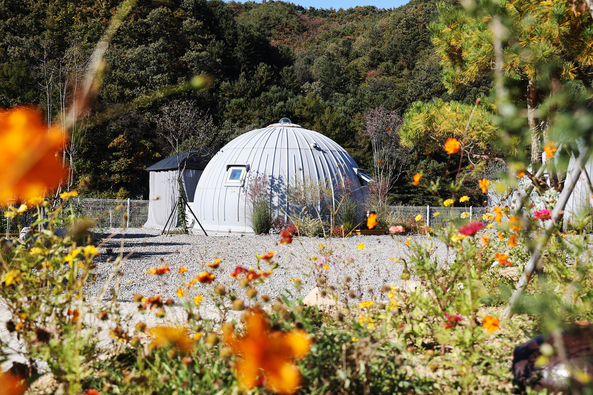 돔 아일랜드 304 이미지