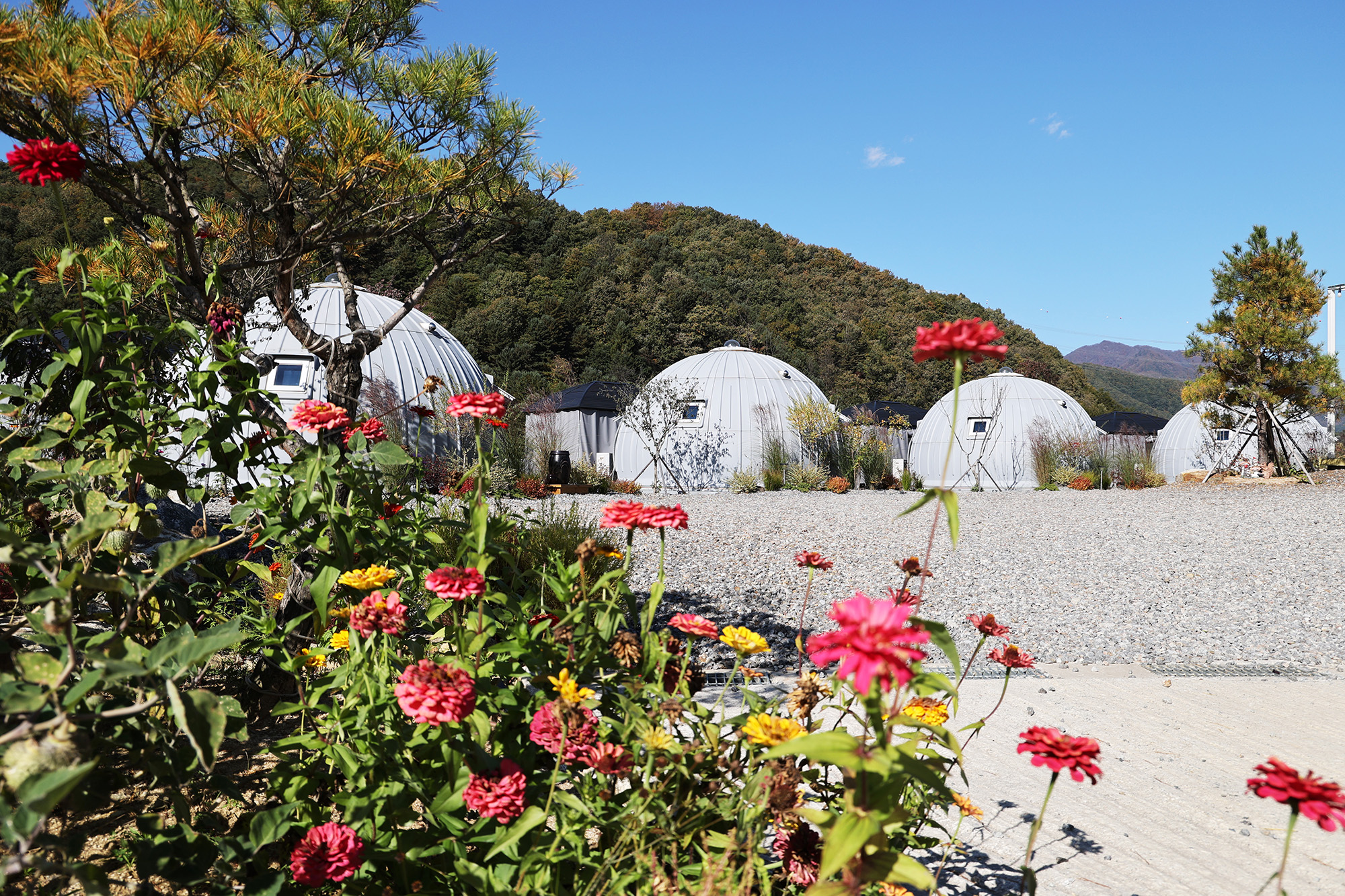 돔 아일랜드 304 이미지