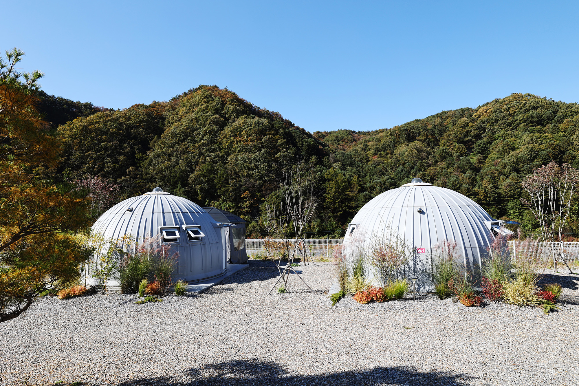 돔 아일랜드 304 이미지