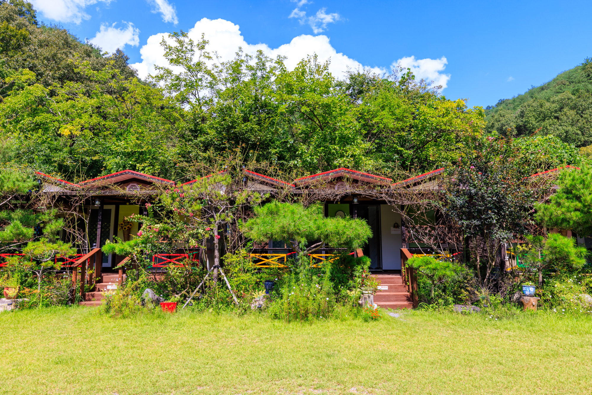 풀꽃이랑 캠핑장 이미지