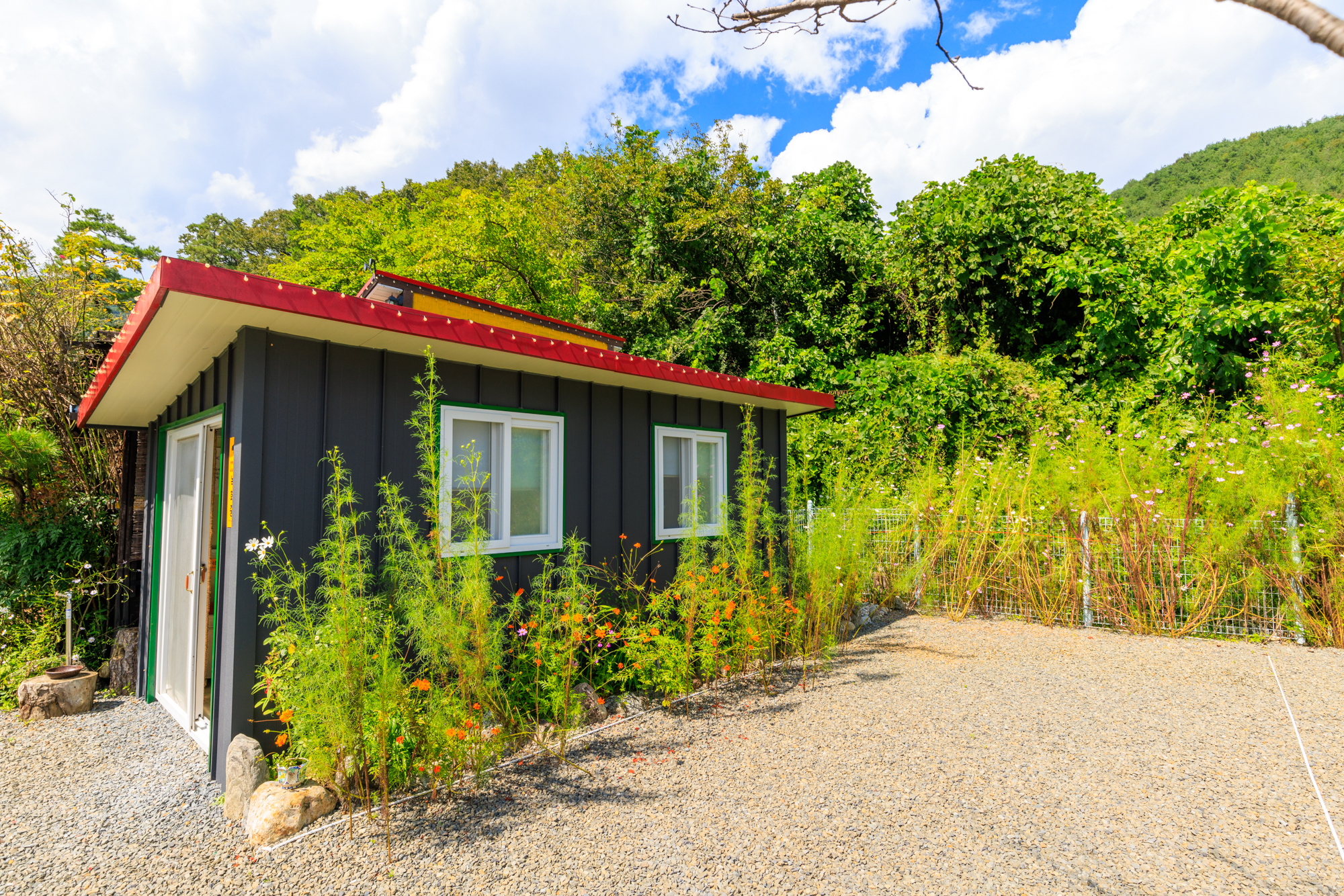 풀꽃이랑 캠핑장 이미지