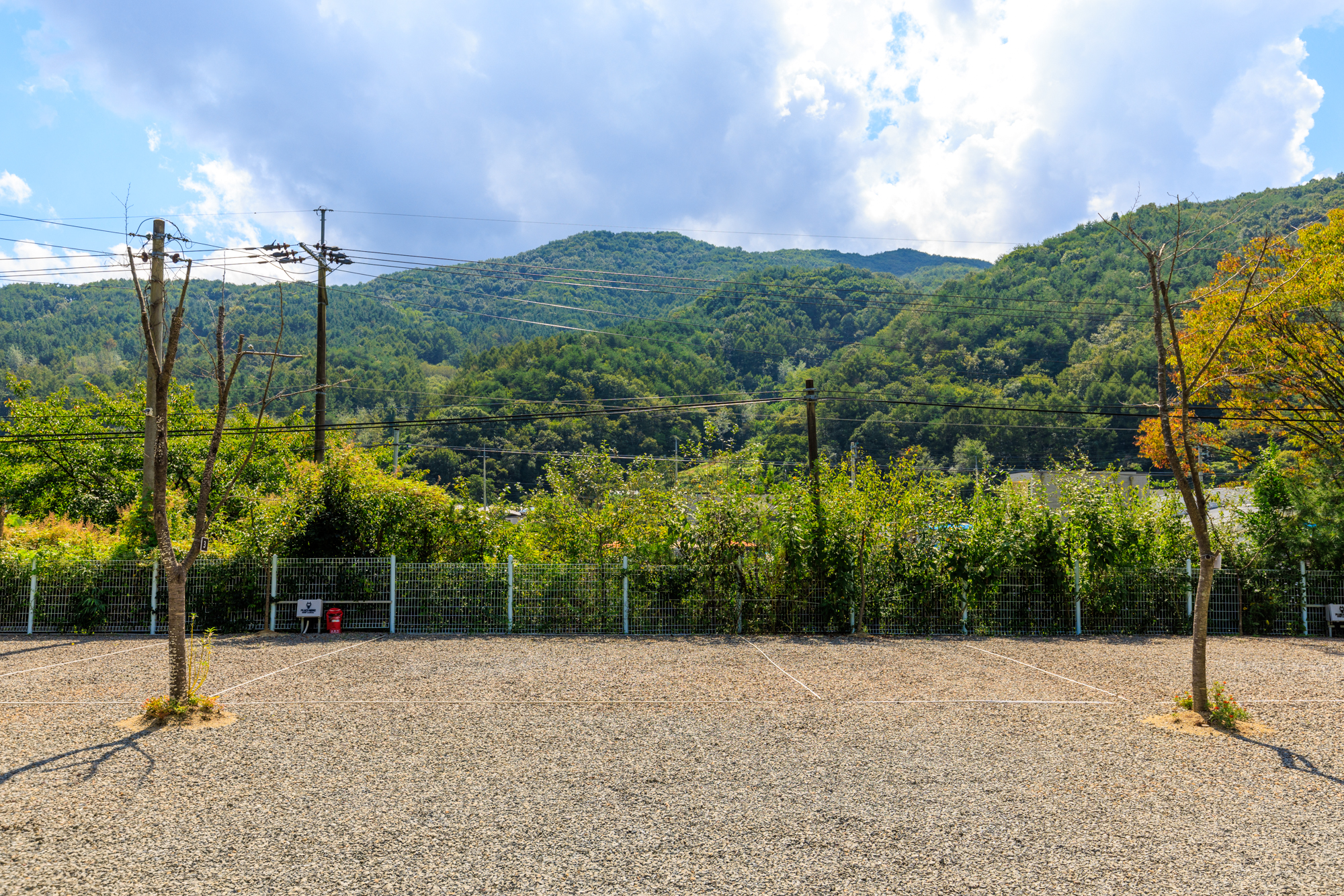 풀꽃이랑 캠핑장 이미지