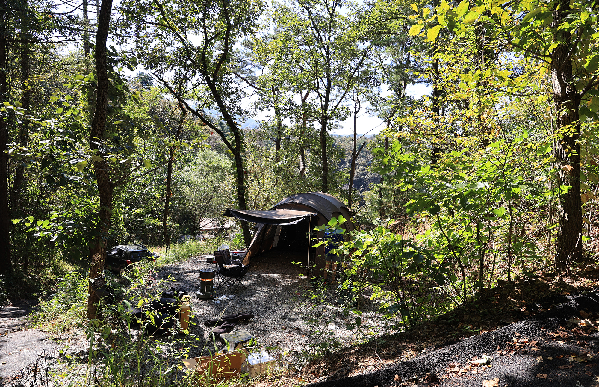 춘천 더숲 캠핑장 이미지