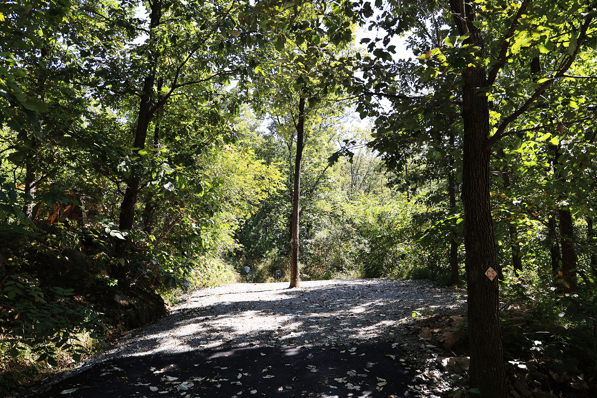 춘천 더숲 캠핑장 이미지