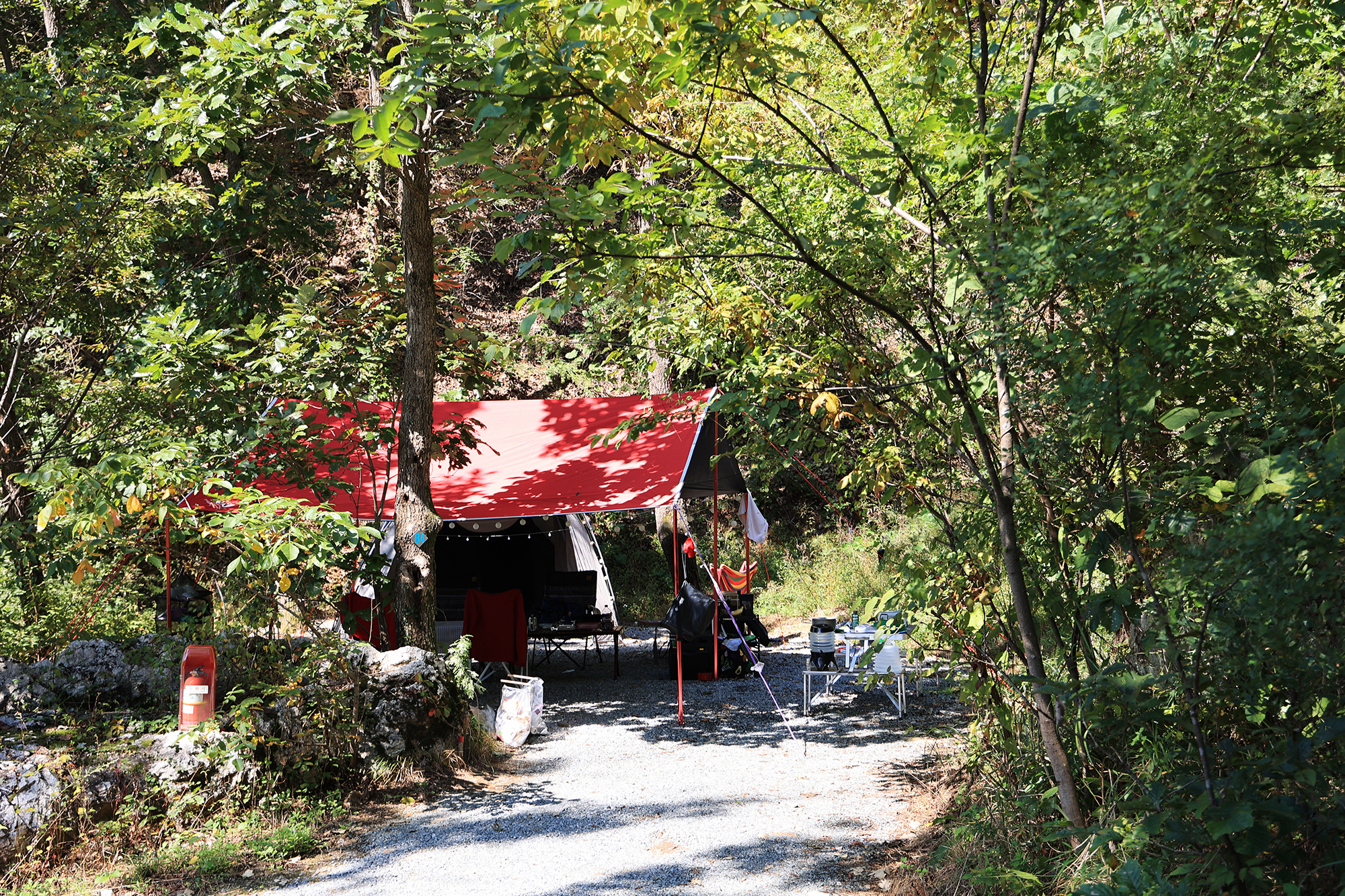 춘천 더숲 캠핑장 이미지