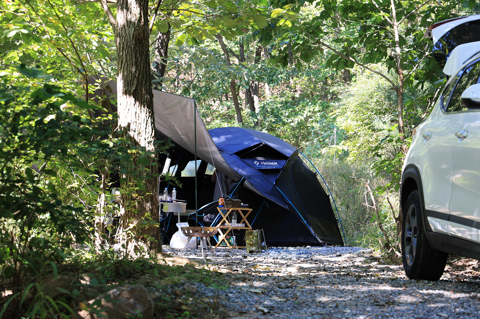 춘천 더숲 캠핑장 이미지