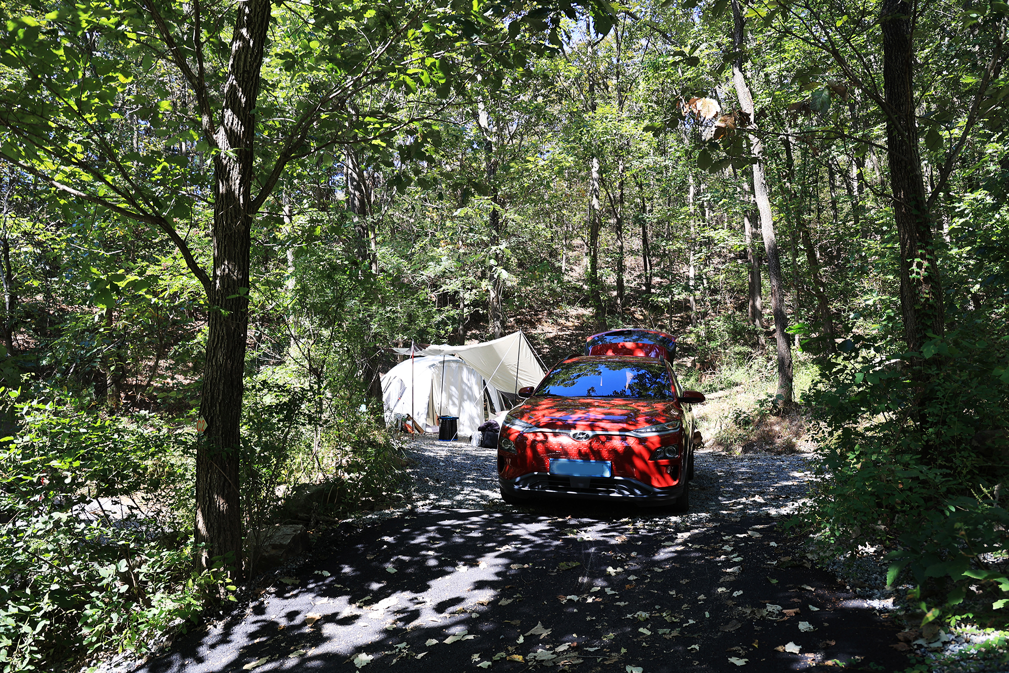 춘천 더숲 캠핑장 이미지