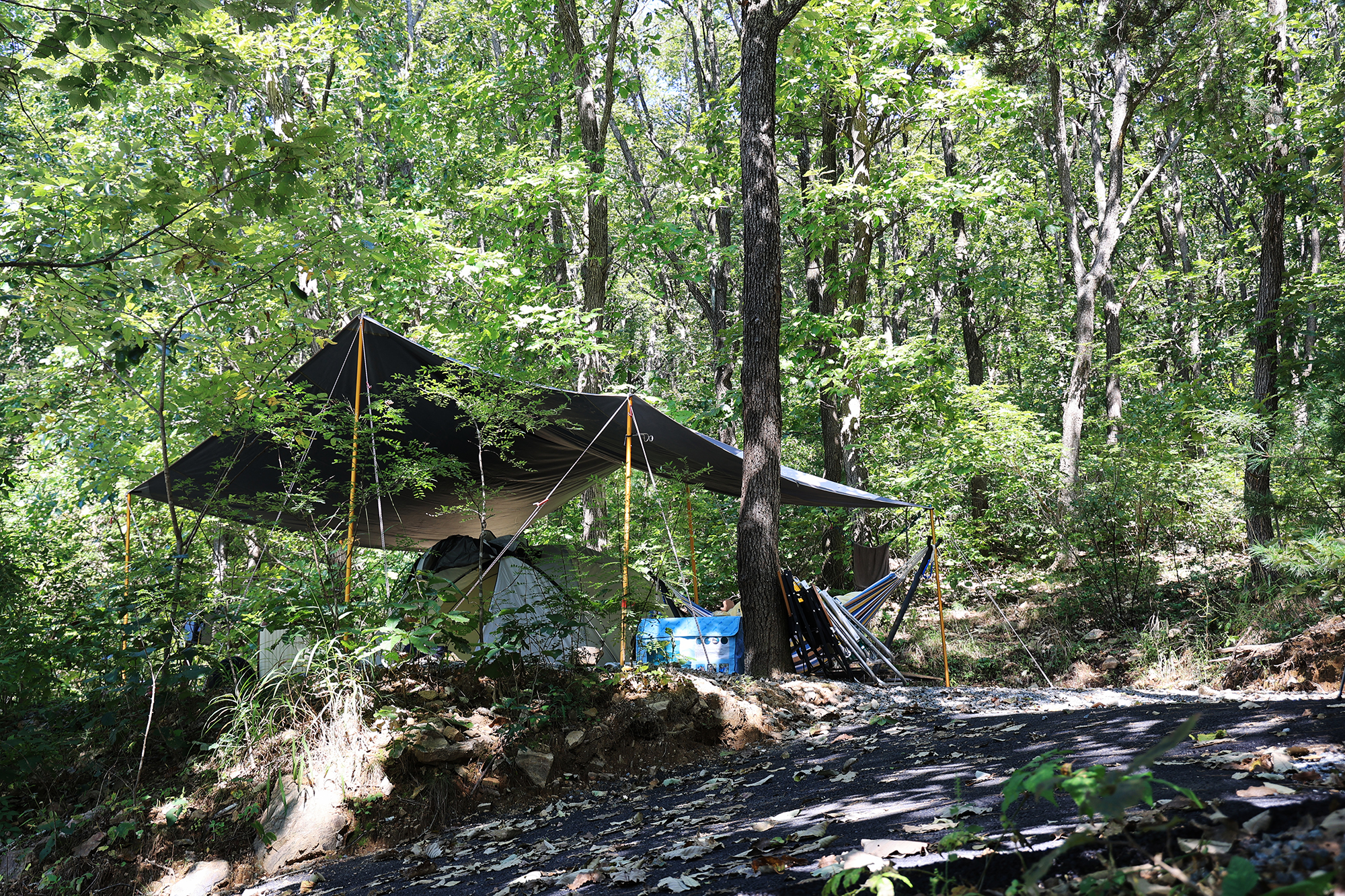 춘천 더숲 캠핑장 이미지