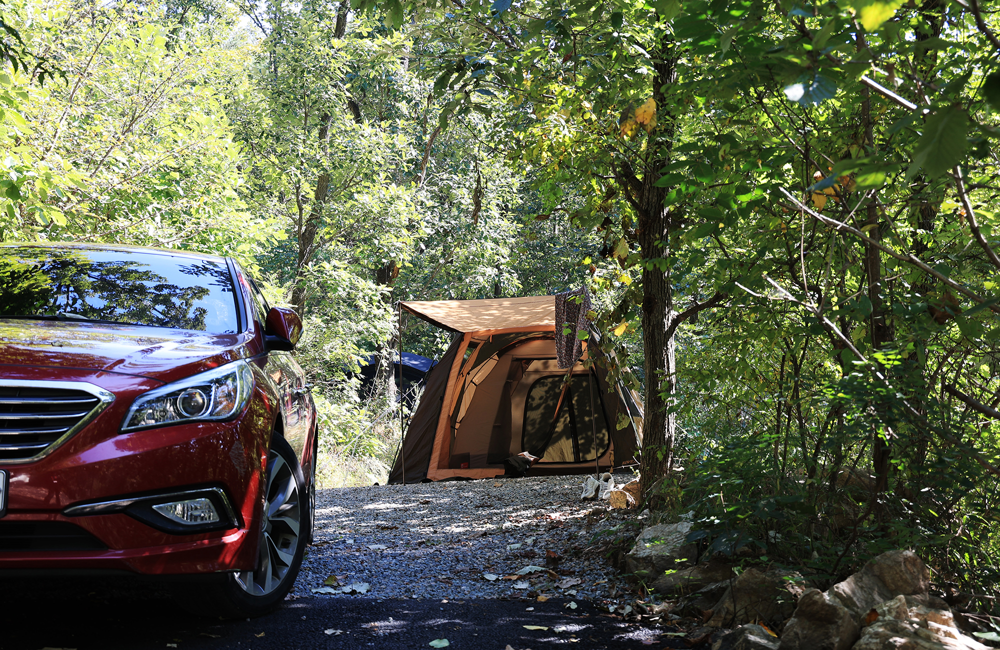 춘천 더숲 캠핑장 이미지