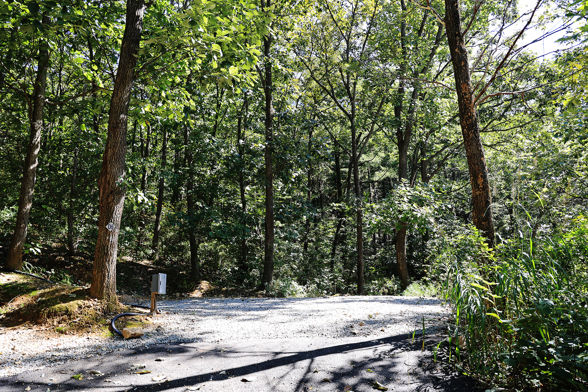 춘천 더숲 캠핑장 이미지