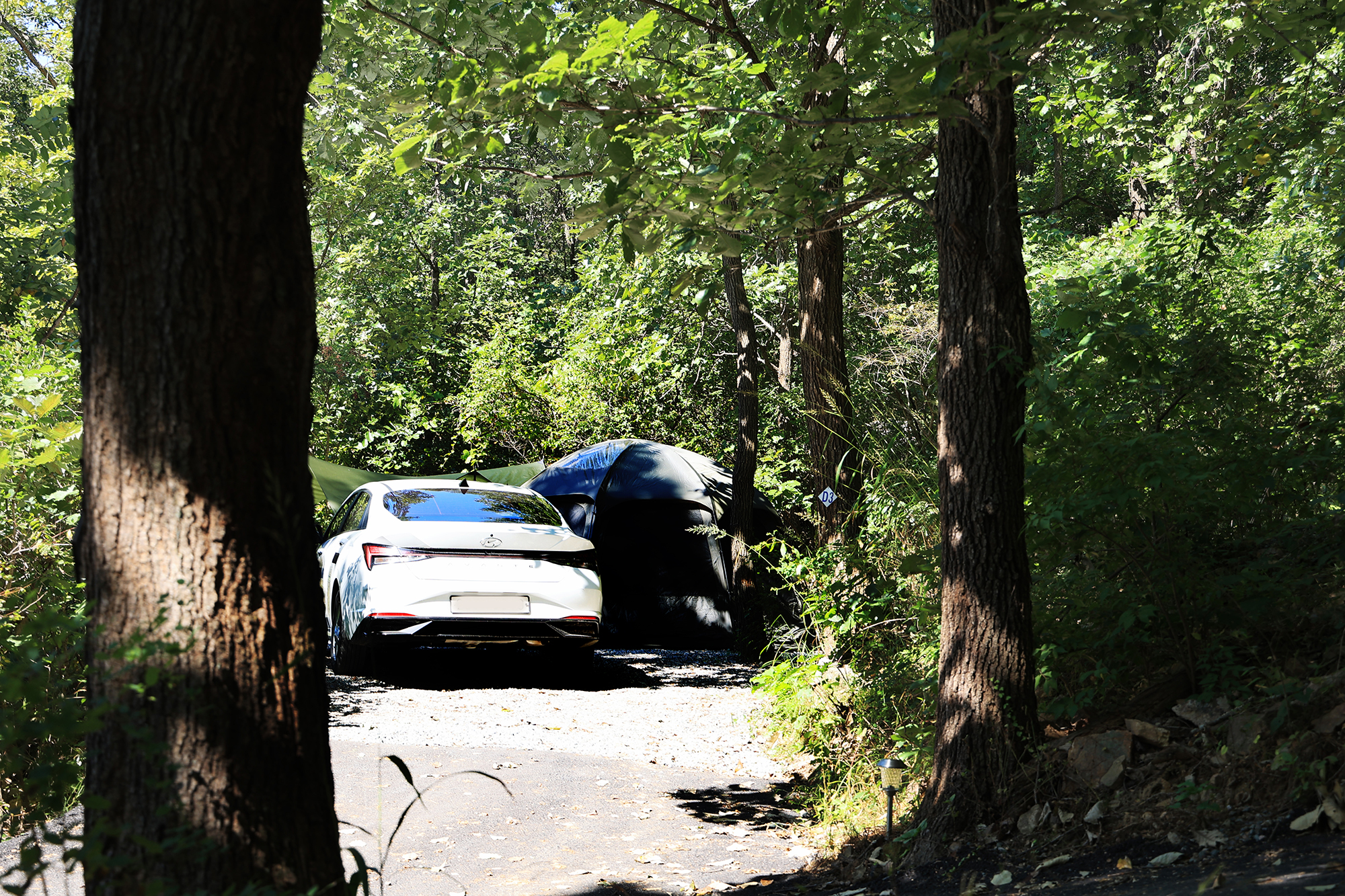 춘천 더숲 캠핑장 이미지