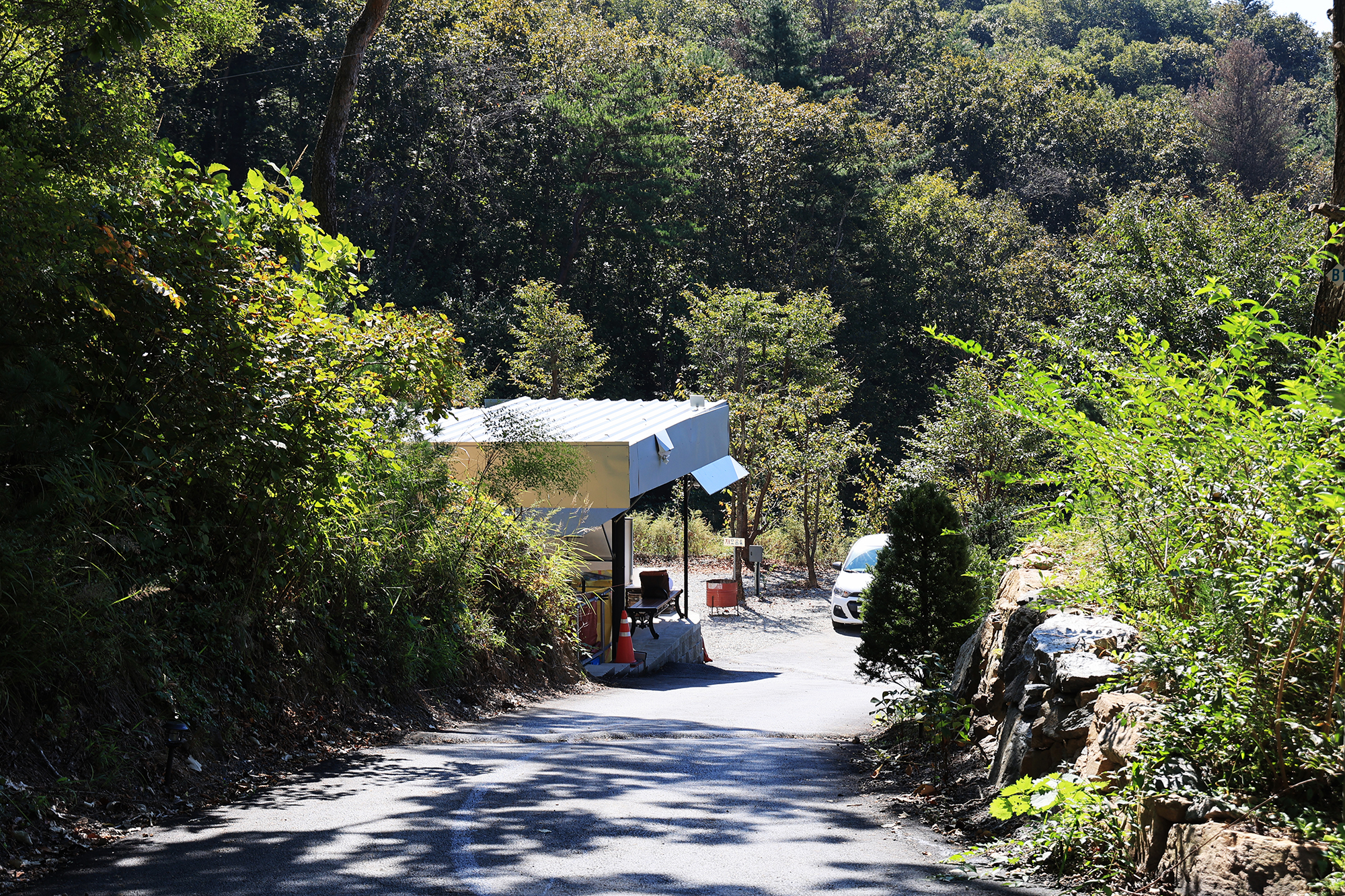 춘천 더숲 캠핑장 이미지
