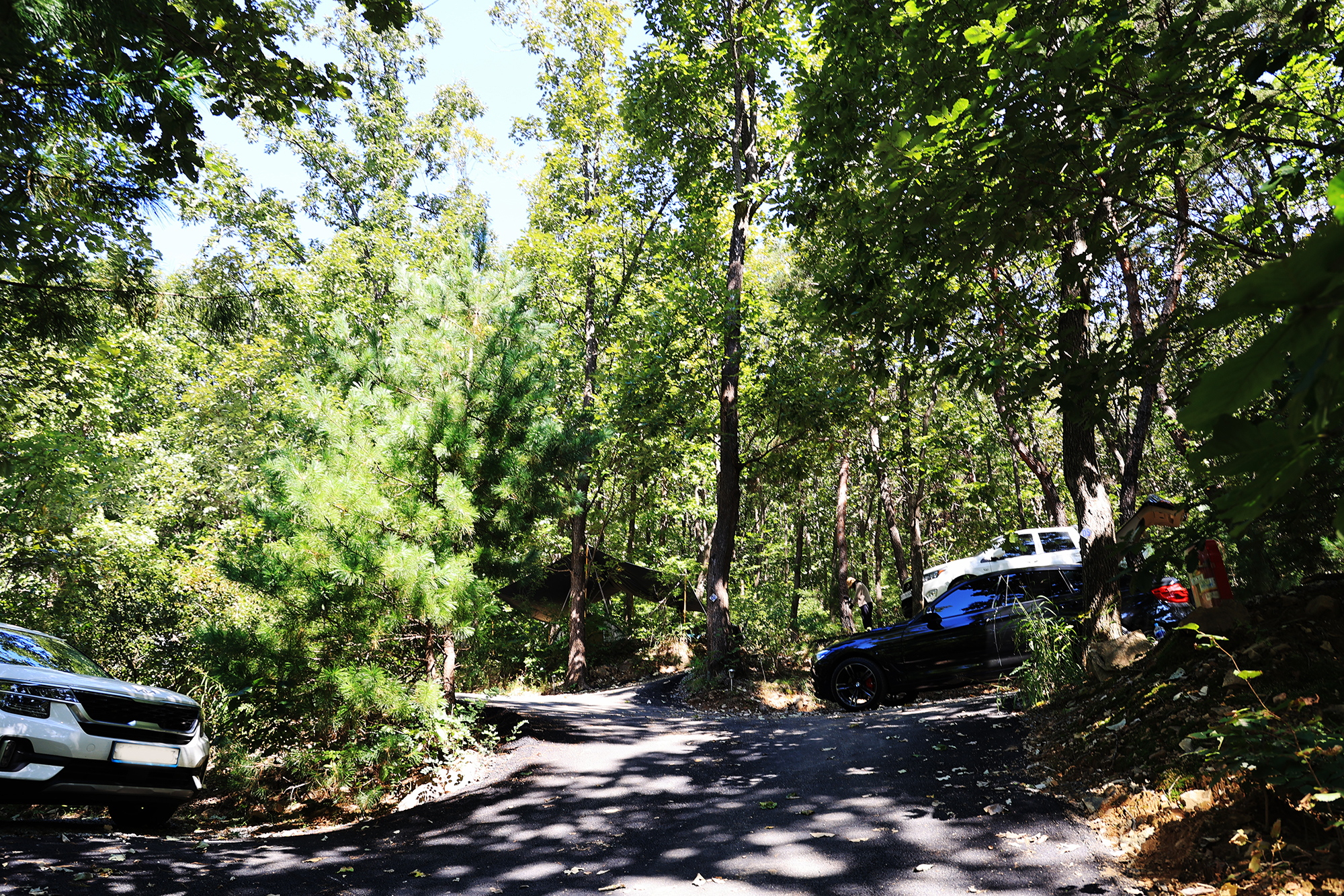춘천 더숲 캠핑장 이미지