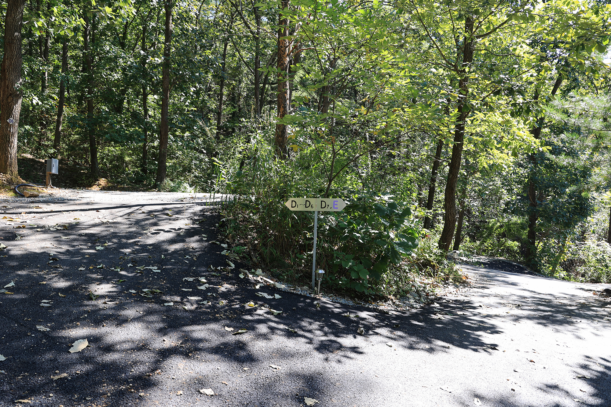 춘천 더숲 캠핑장 이미지