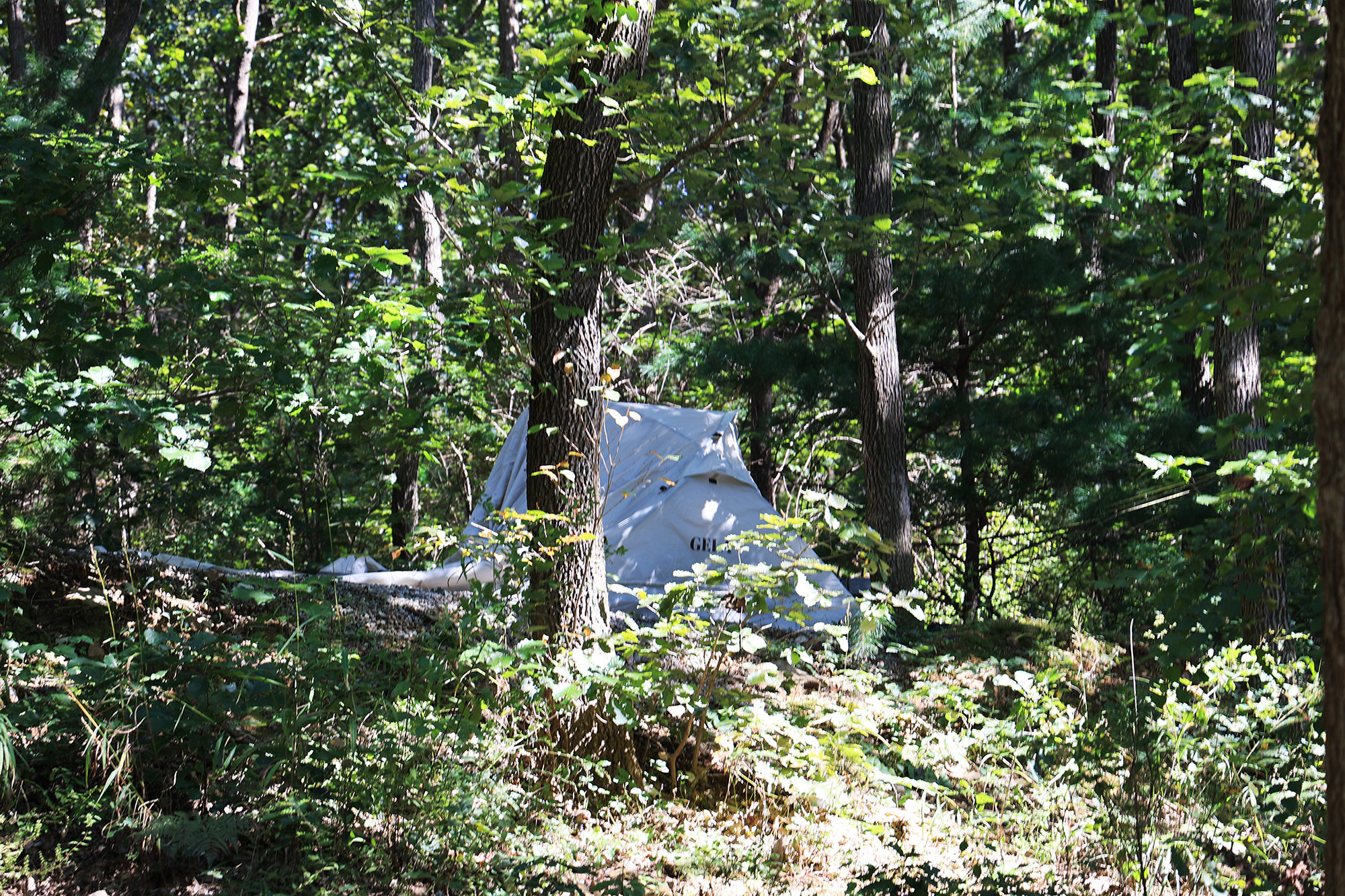 춘천 더숲 캠핑장 이미지