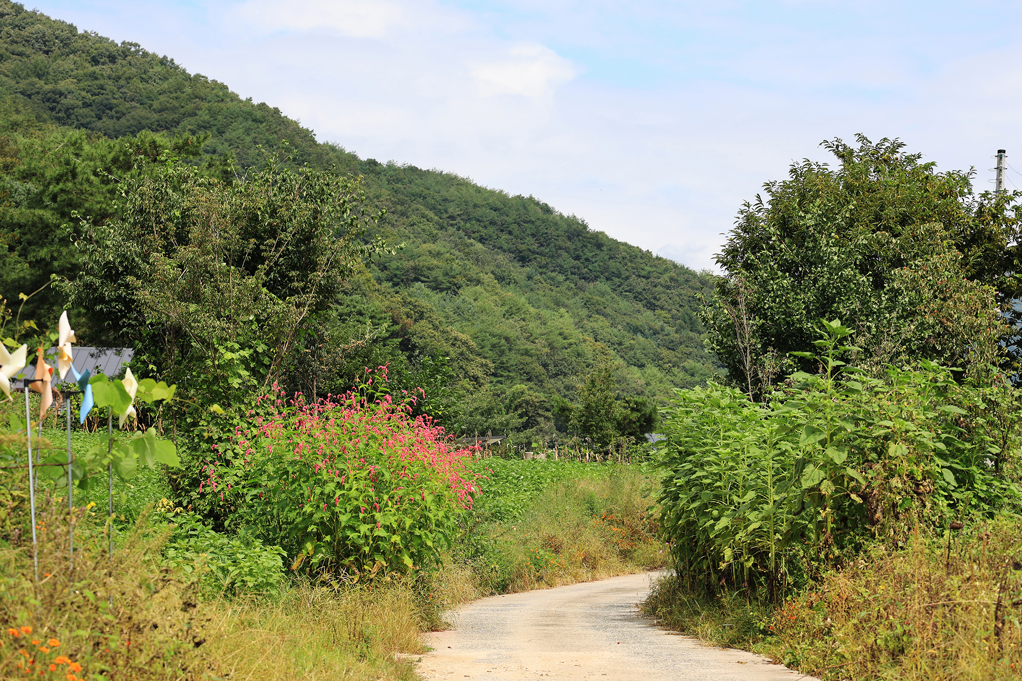 숲 나들이 야영장 이미지