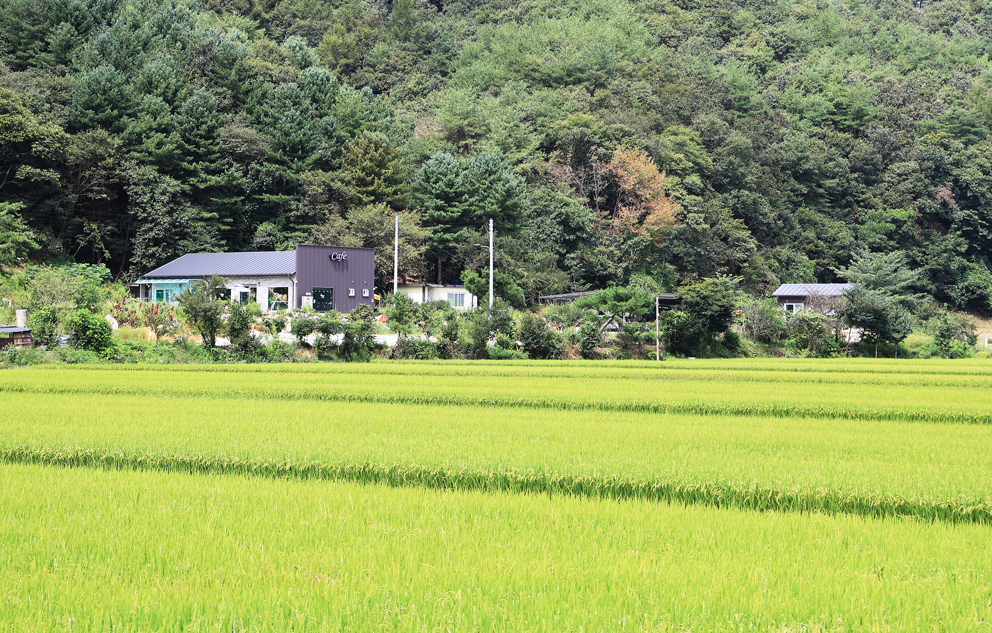 숲 나들이 야영장 이미지