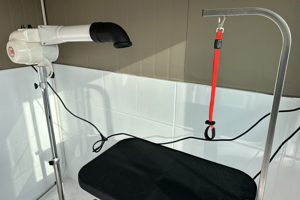 잭슨글램핑 이미지