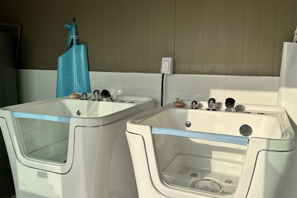 잭슨글램핑 이미지