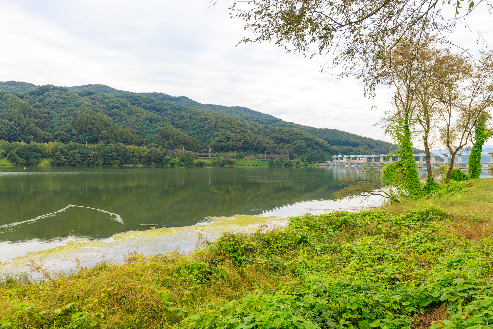 잭슨글램핑 이미지