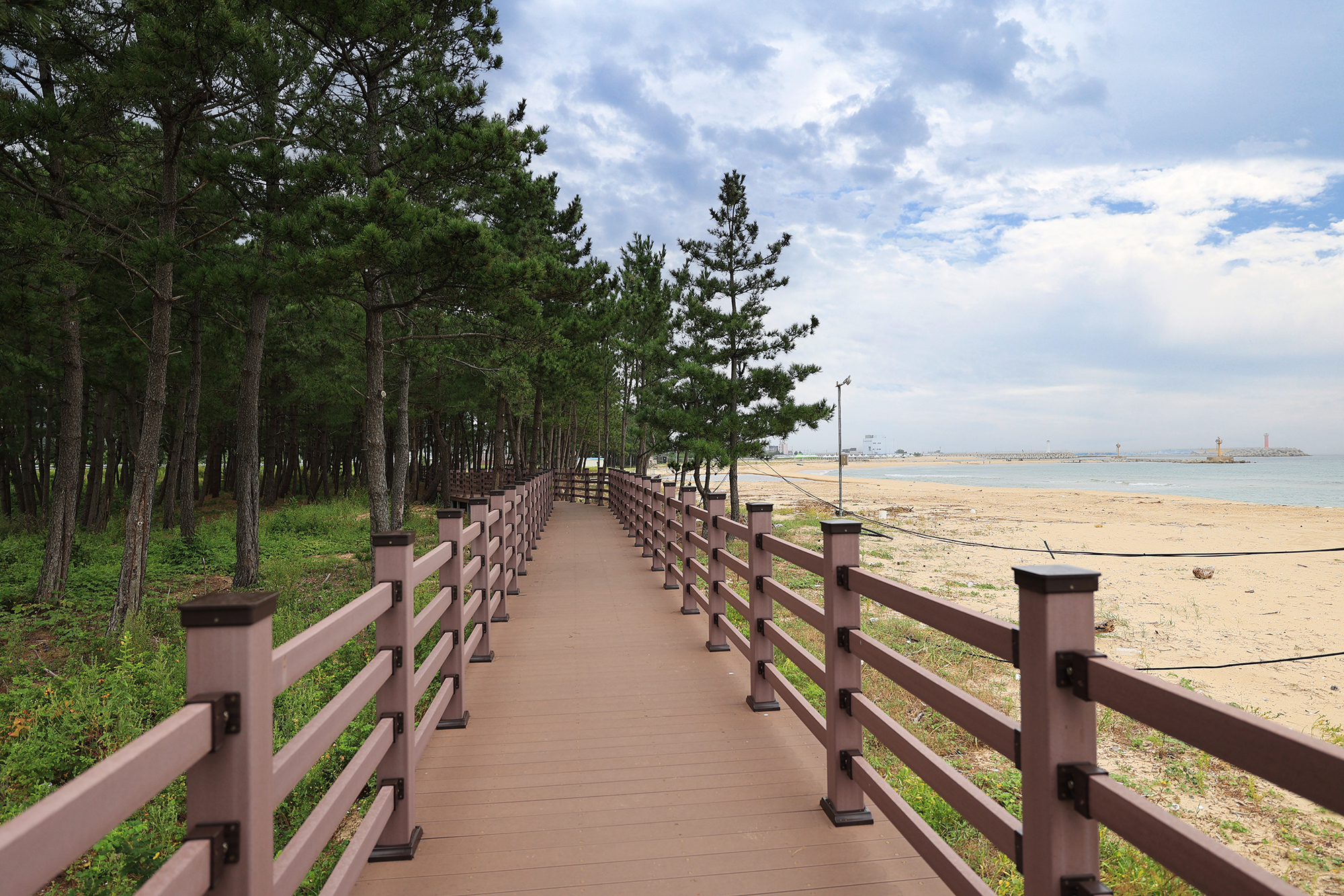 아라캠프 이미지