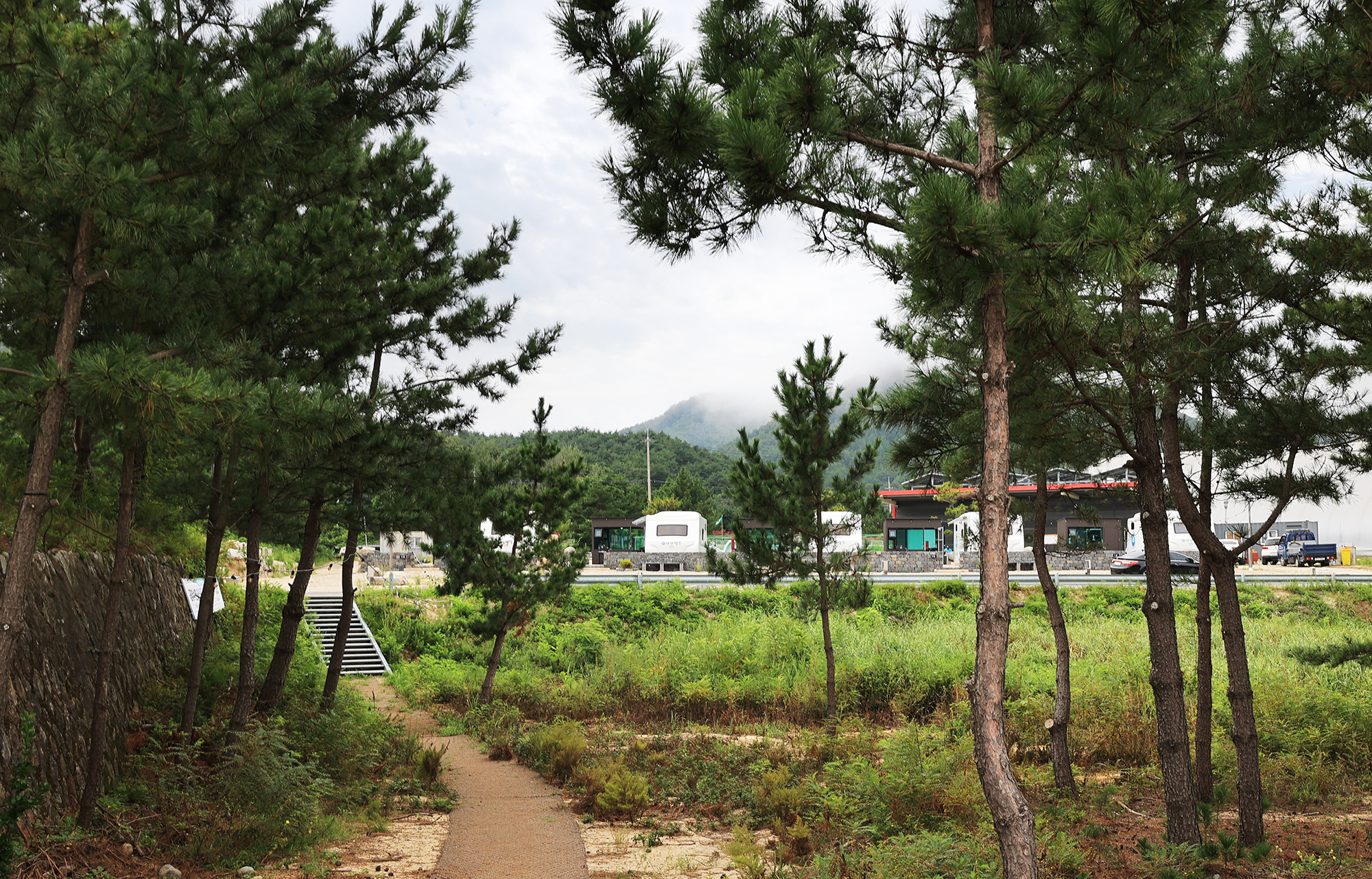 아라캠프 이미지