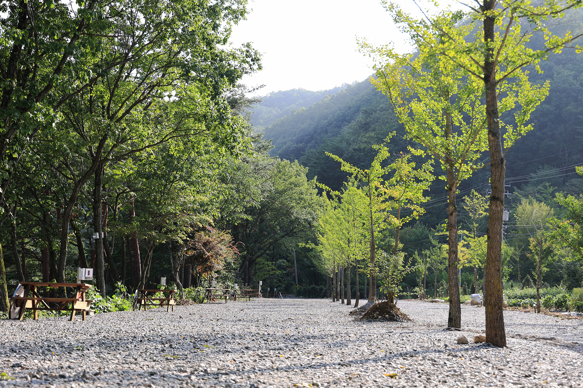 법수치오토캠핑장 이미지